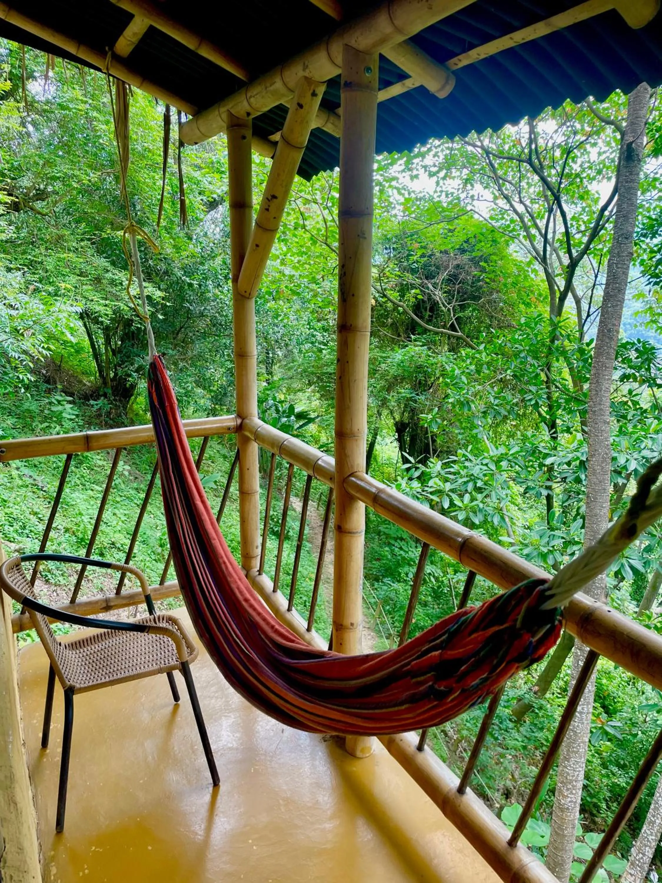 Balcony/Terrace in Minca Ecohabs Hotel