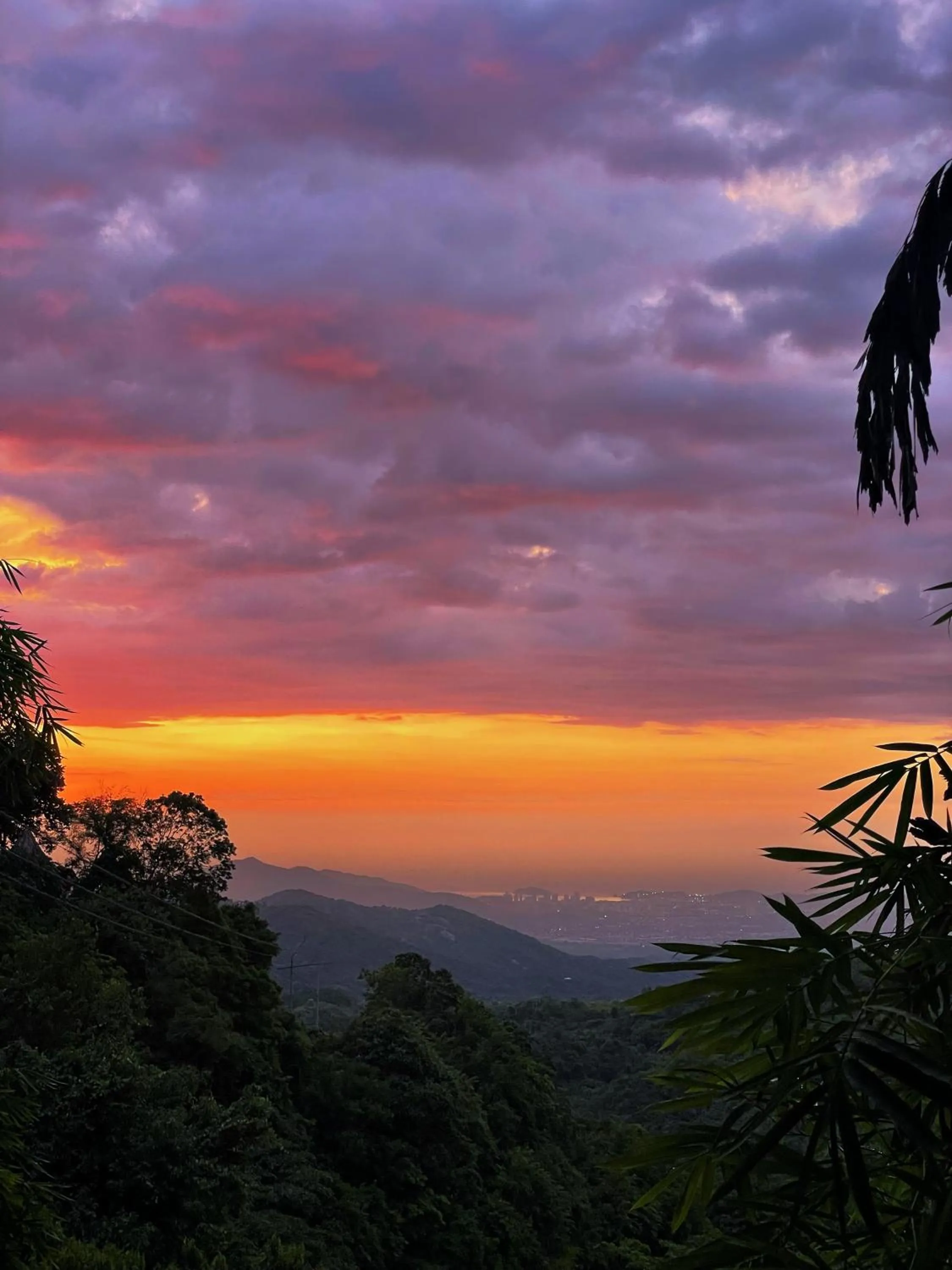 City view in Minca Ecohabs Hotel
