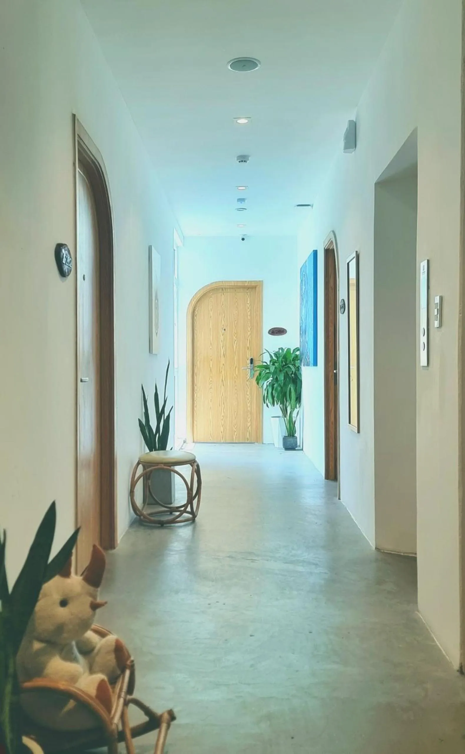 Property building in LaDa's House Da Nang