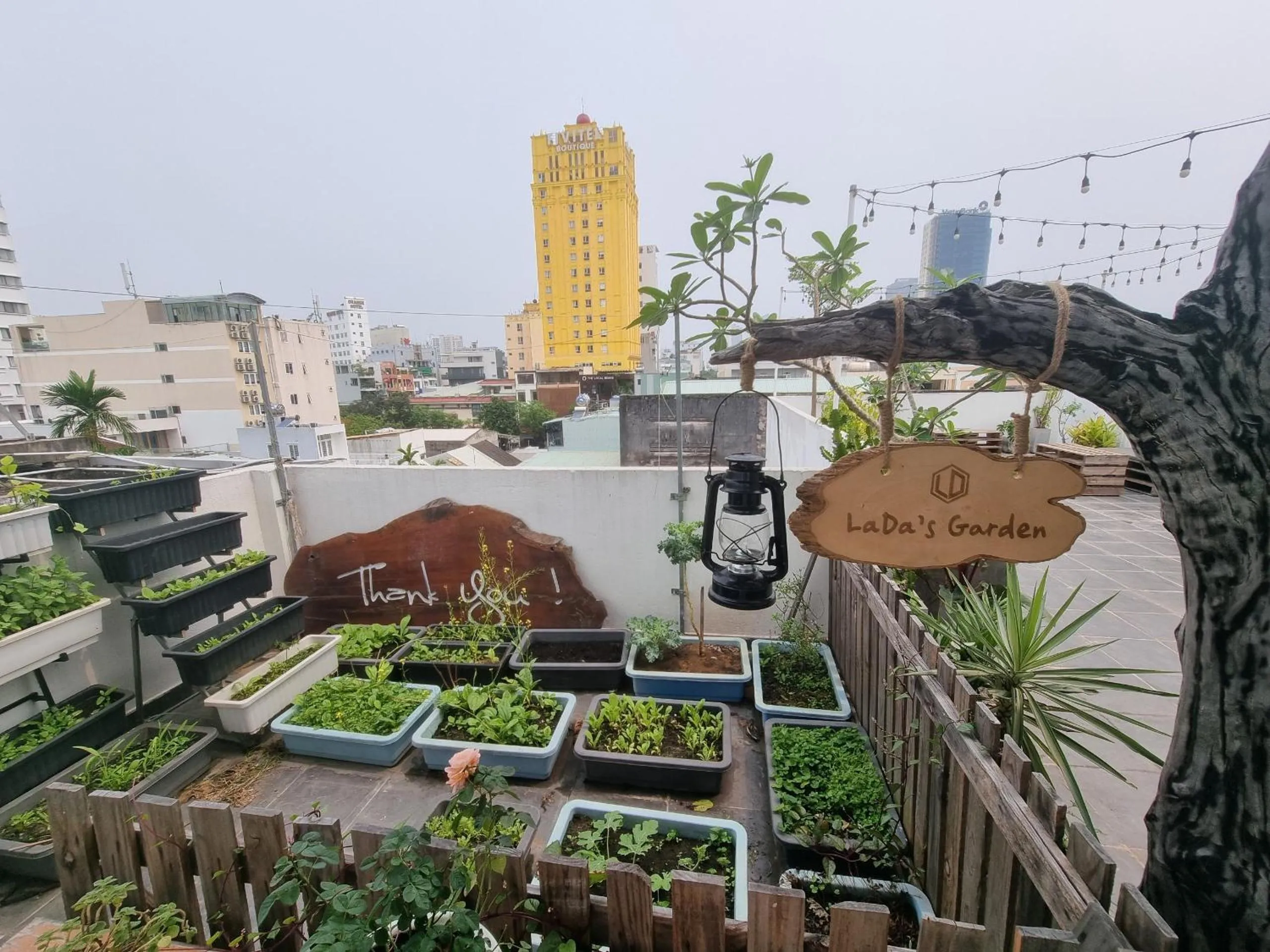 Garden in LaDa's House Da Nang