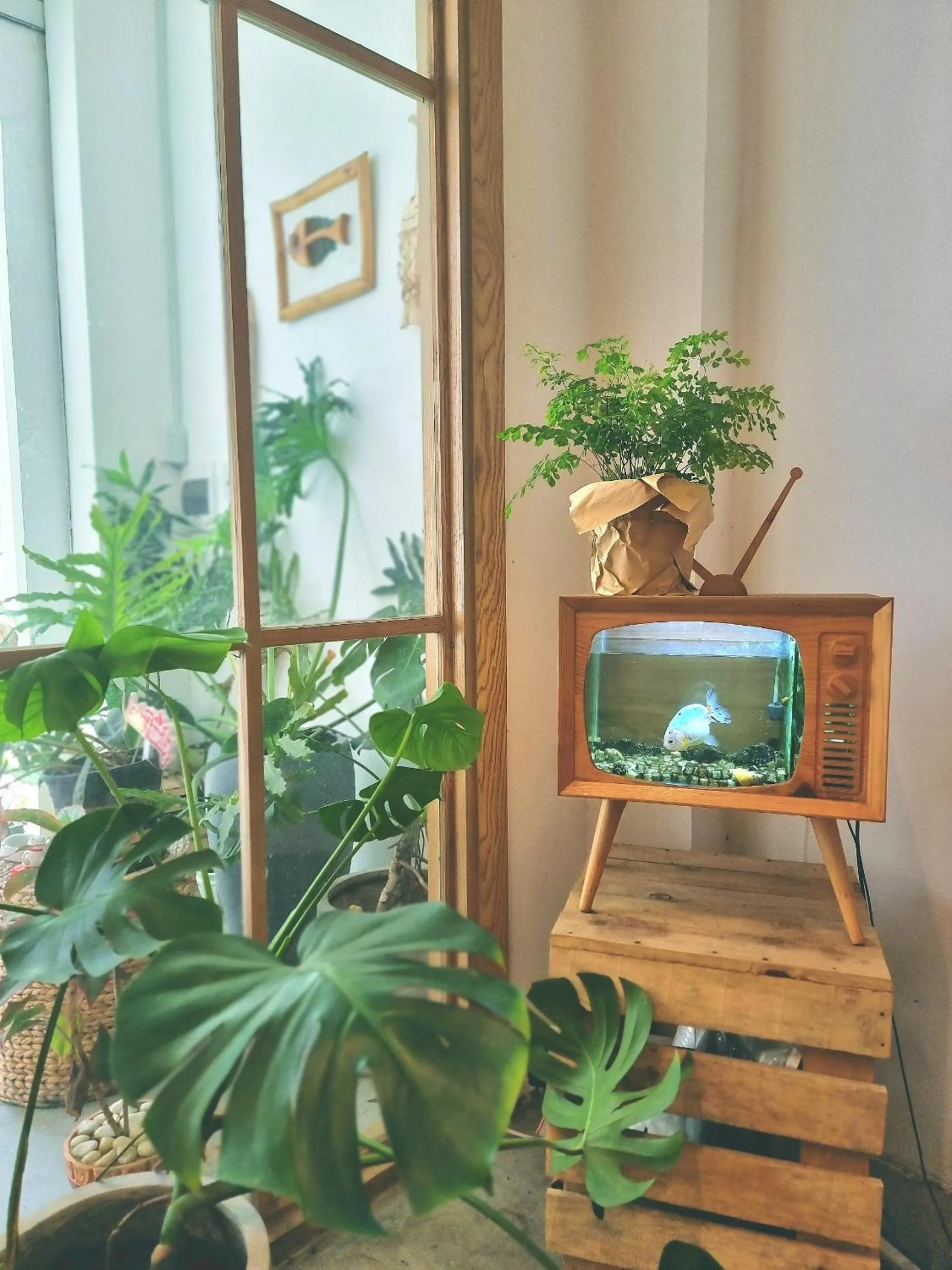 Garden in LaDa's House Da Nang