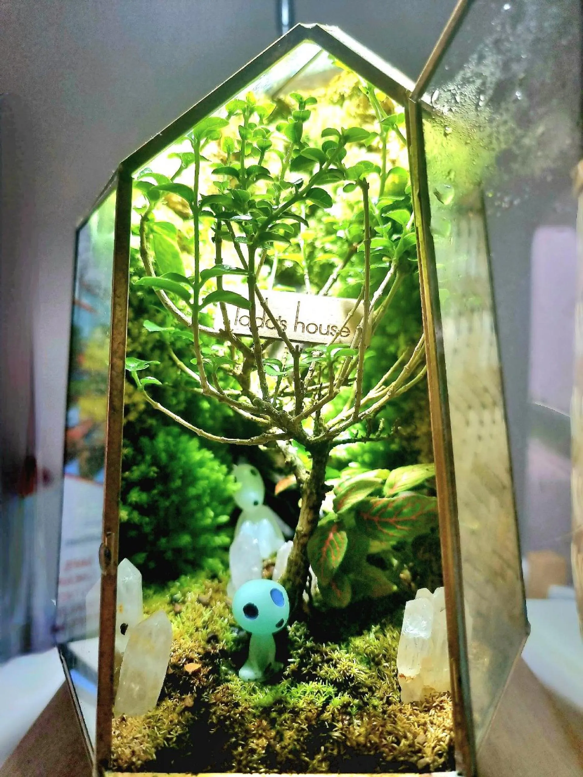 Natural landscape in LaDa's House Da Nang