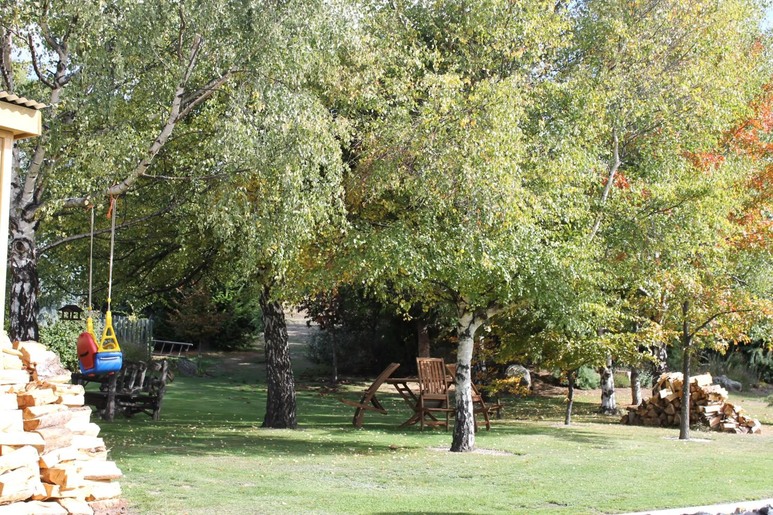 Garden in Tekapo Tussock