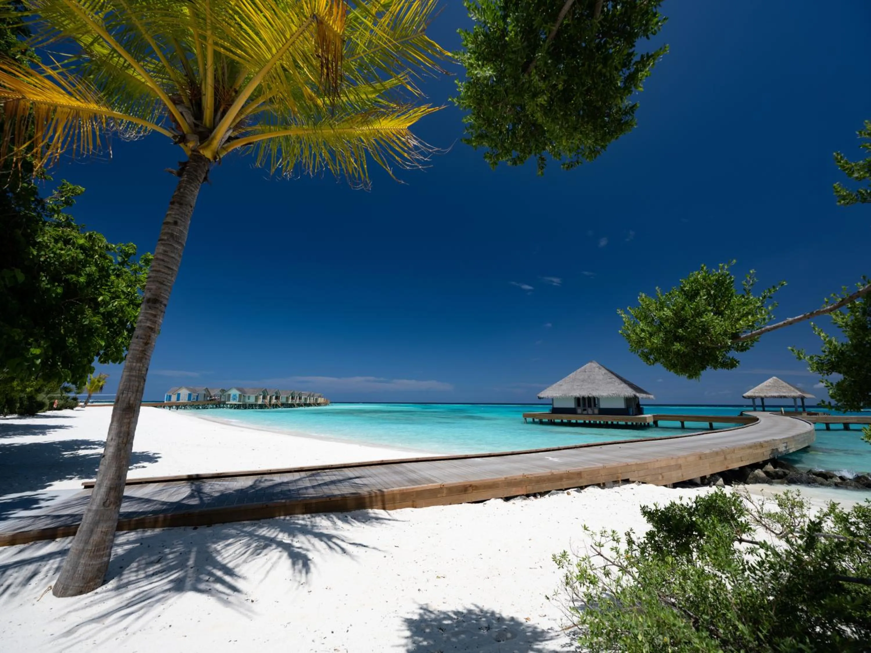 Natural landscape in Cora Cora Maldives - Premium All-Inclusive Resort