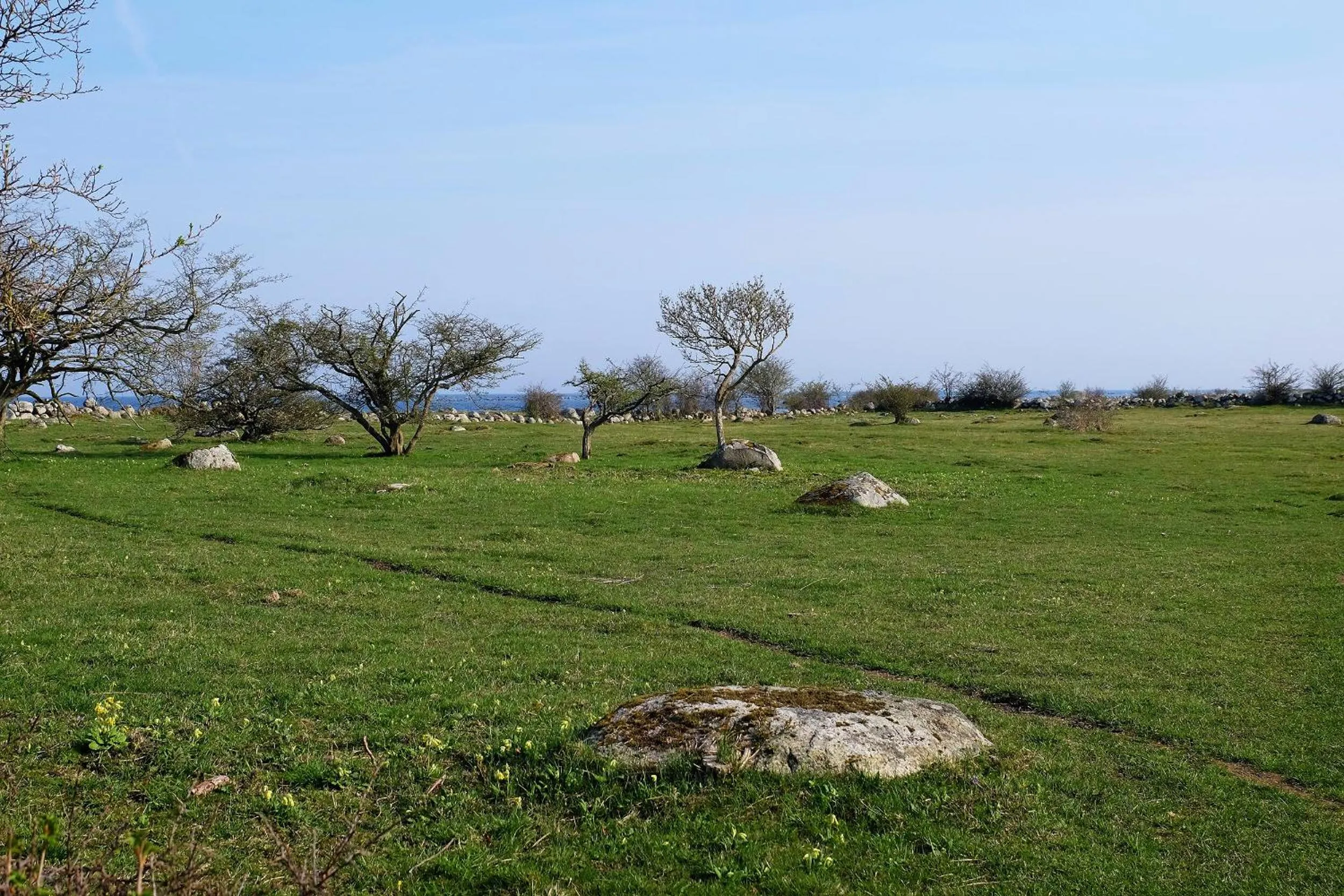 Nearby landmark in Bodelssons by the Sea