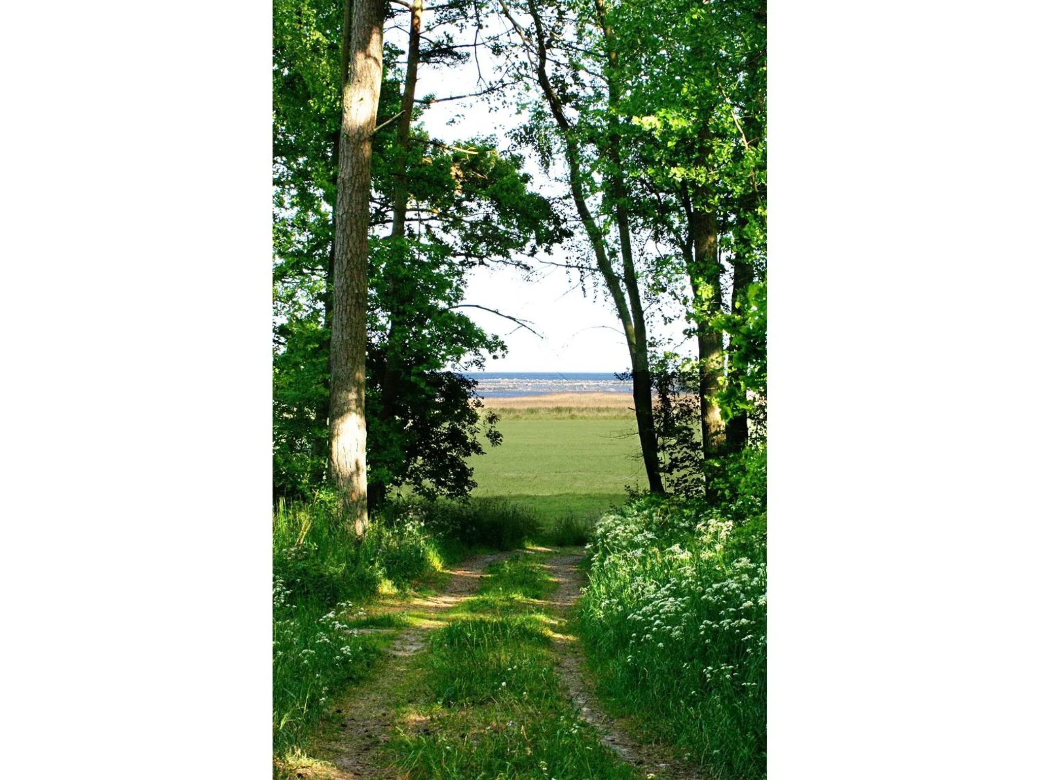 Neighbourhood in Bodelssons by the Sea