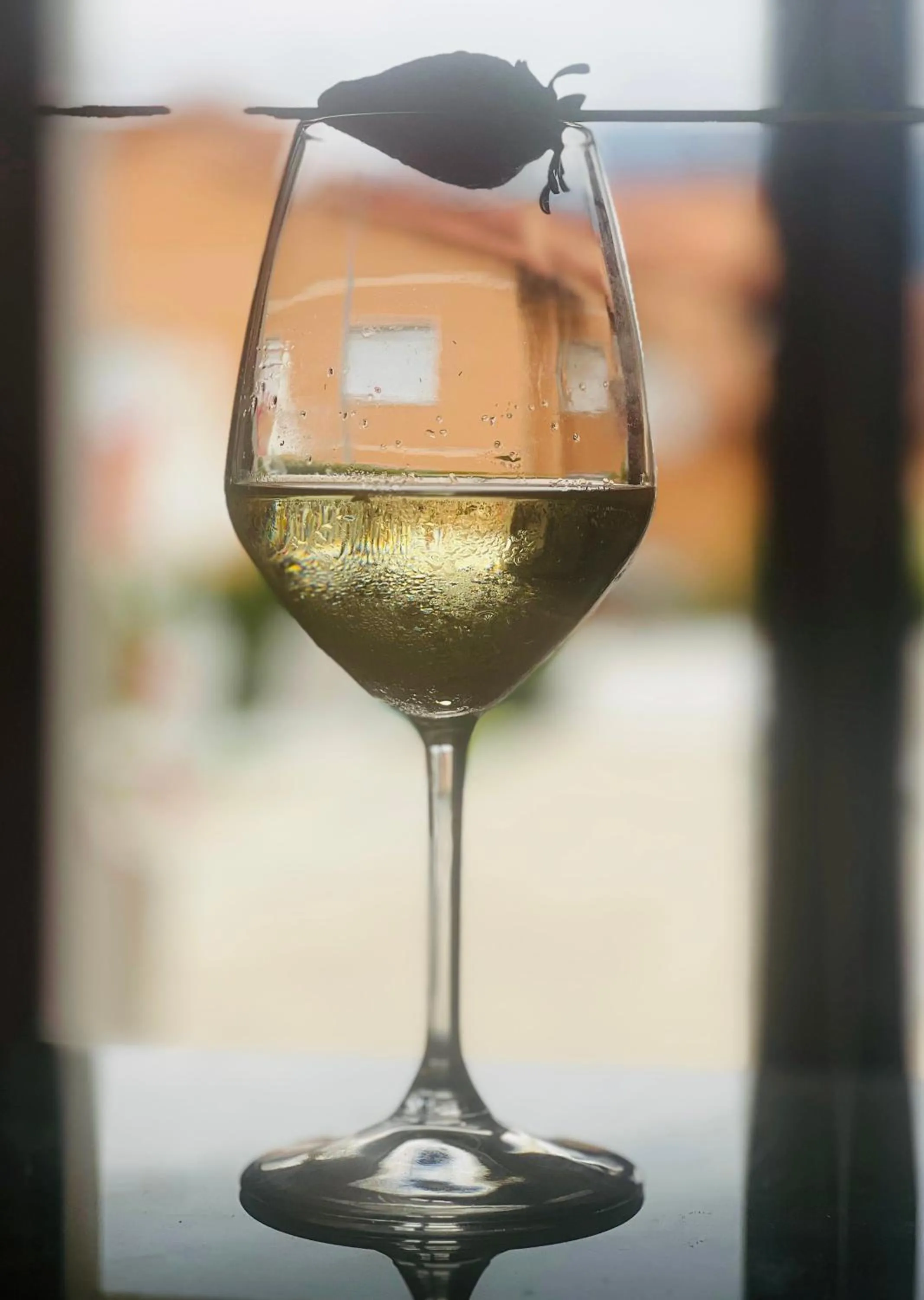 Lounge or bar in The Florence Hills Resort & Wellness