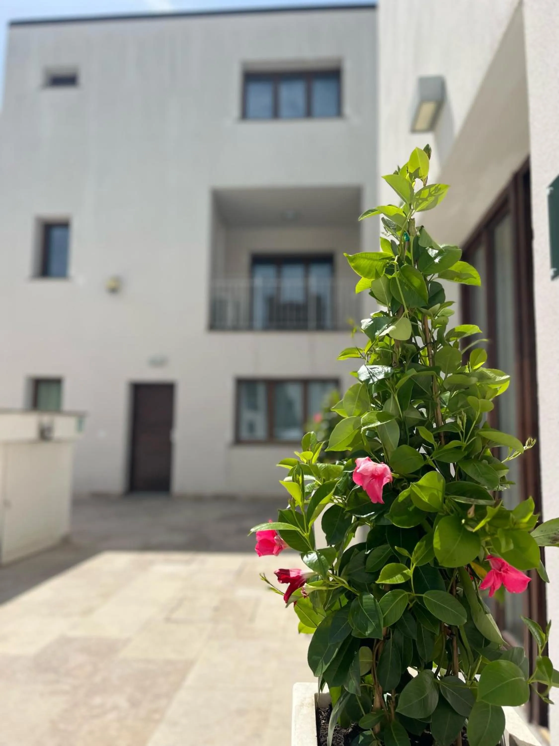 Property building in The Florence Hills Resort & Wellness