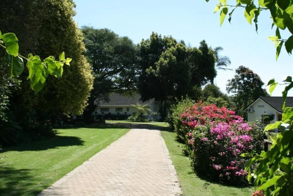 Dusk to Dawn Guesthouse