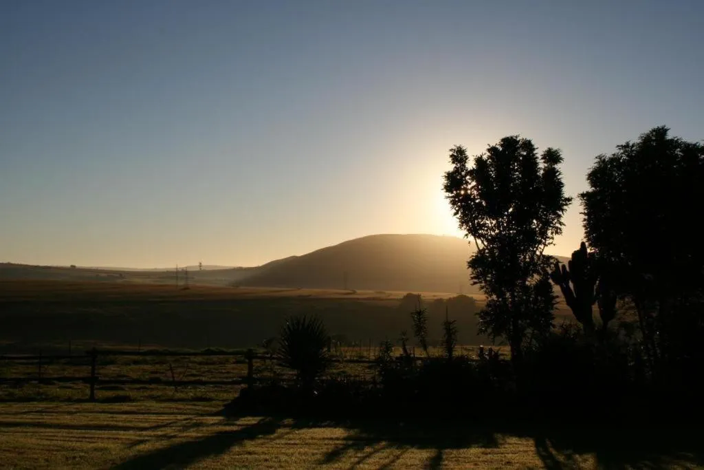 Dusk to Dawn Guesthouse