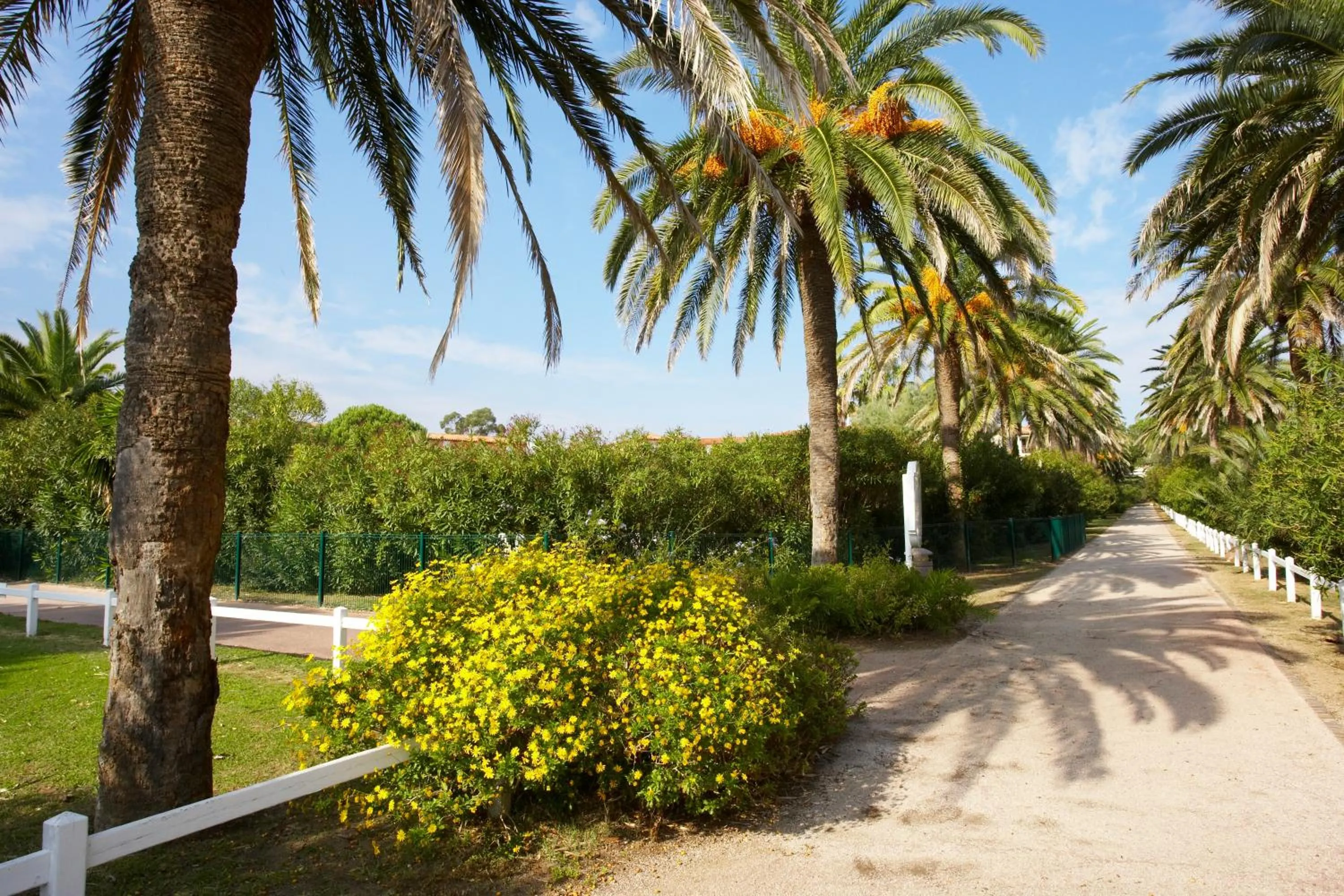 Area and facilities in SOWELL Family Hôtel Port Grimaud