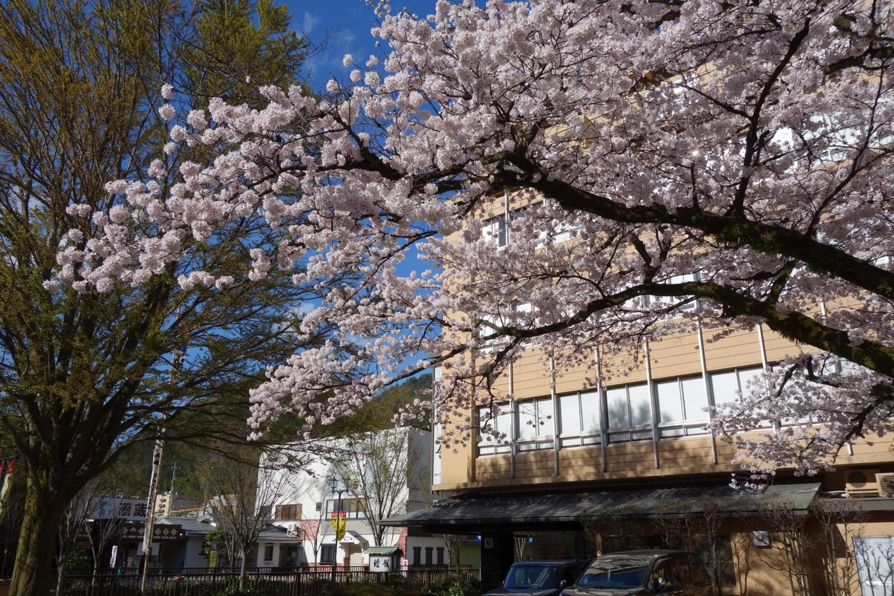 Facade/entrance in Mutsumikan