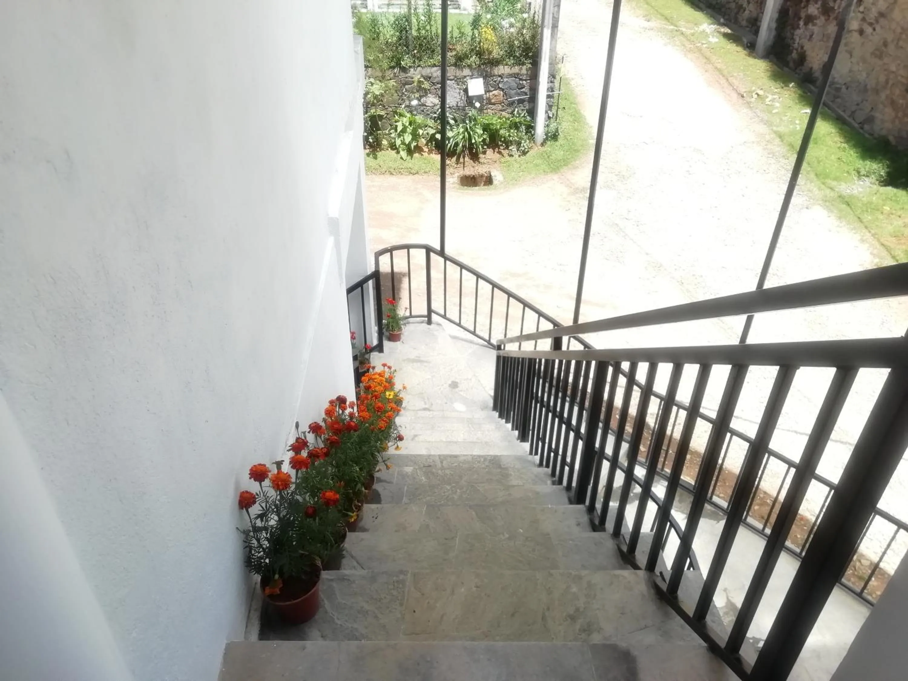 Property building in Tea Mount Forest