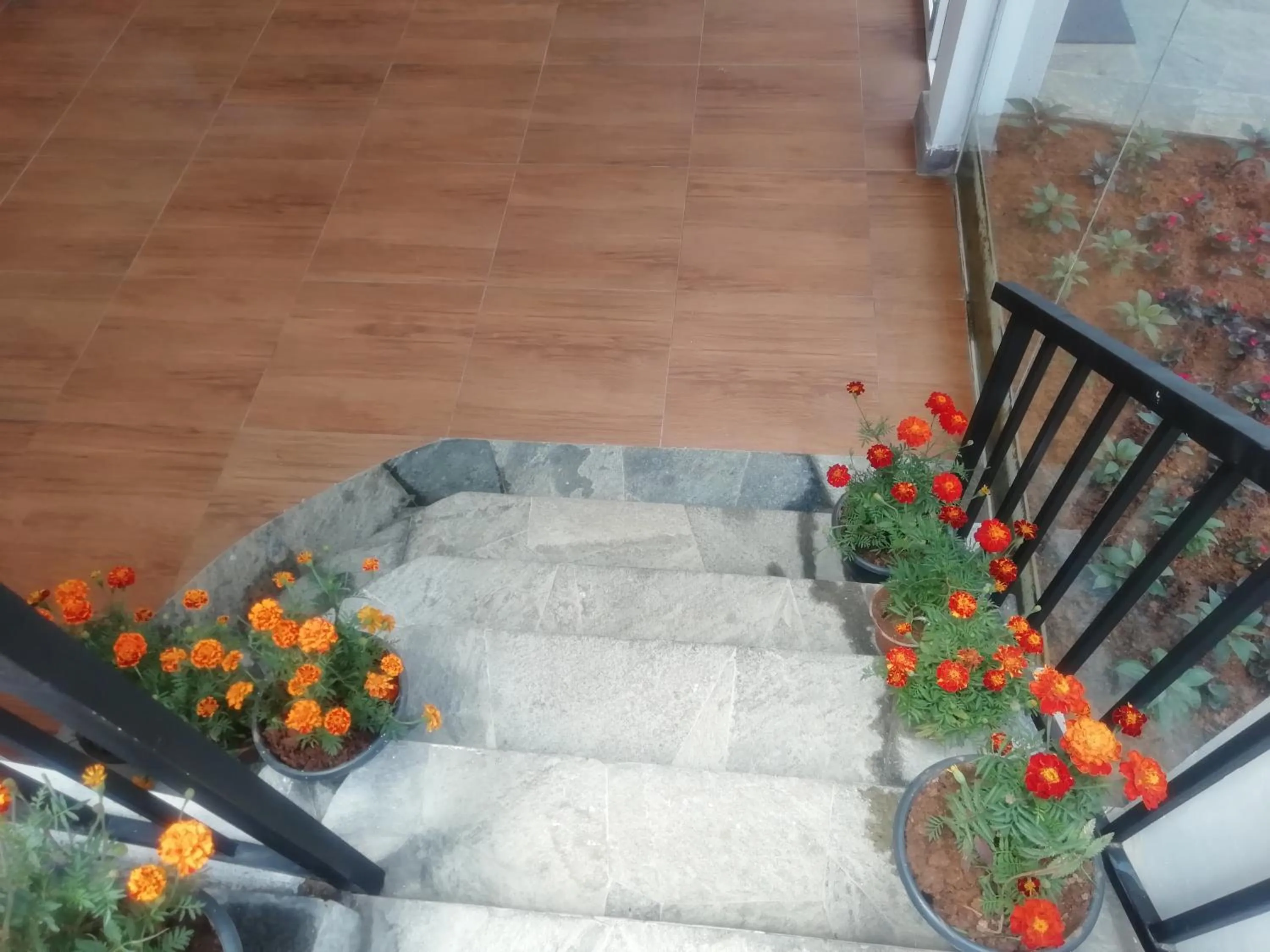 Property building in Tea Mount Forest