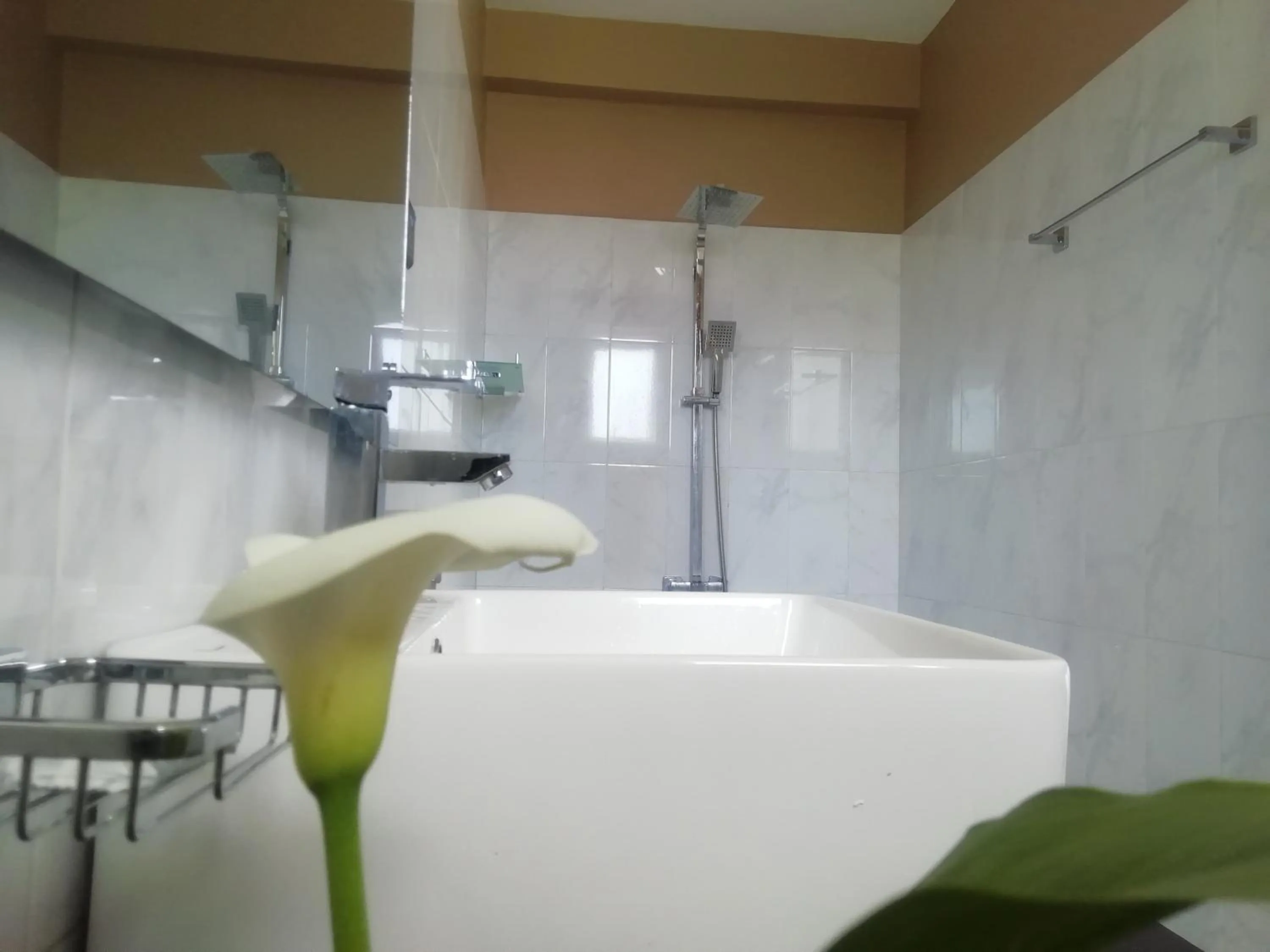 Bathroom in Tea Mount Forest