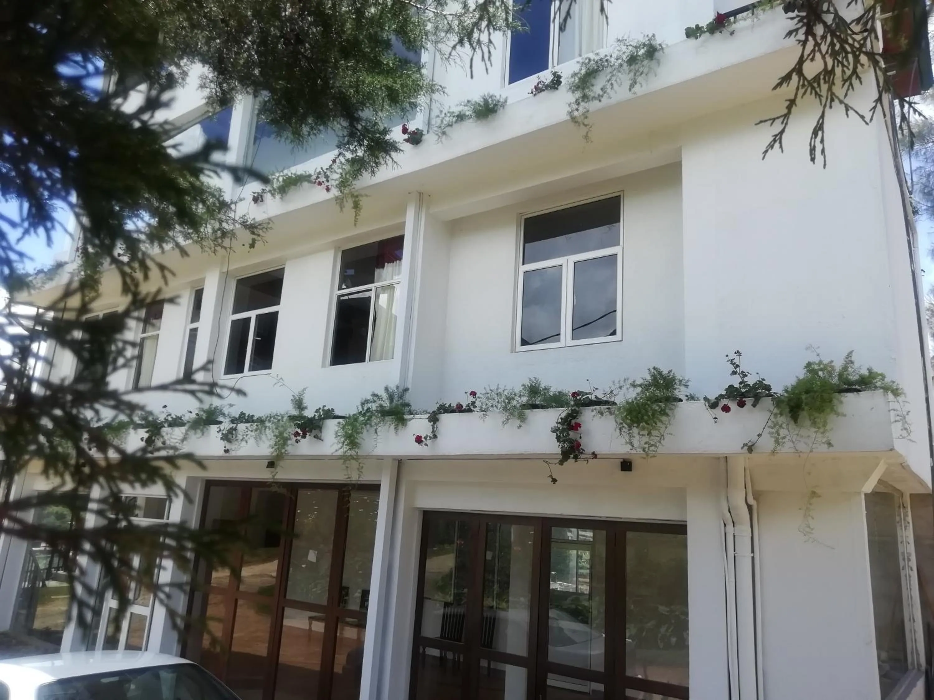 Property building in Tea Mount Forest