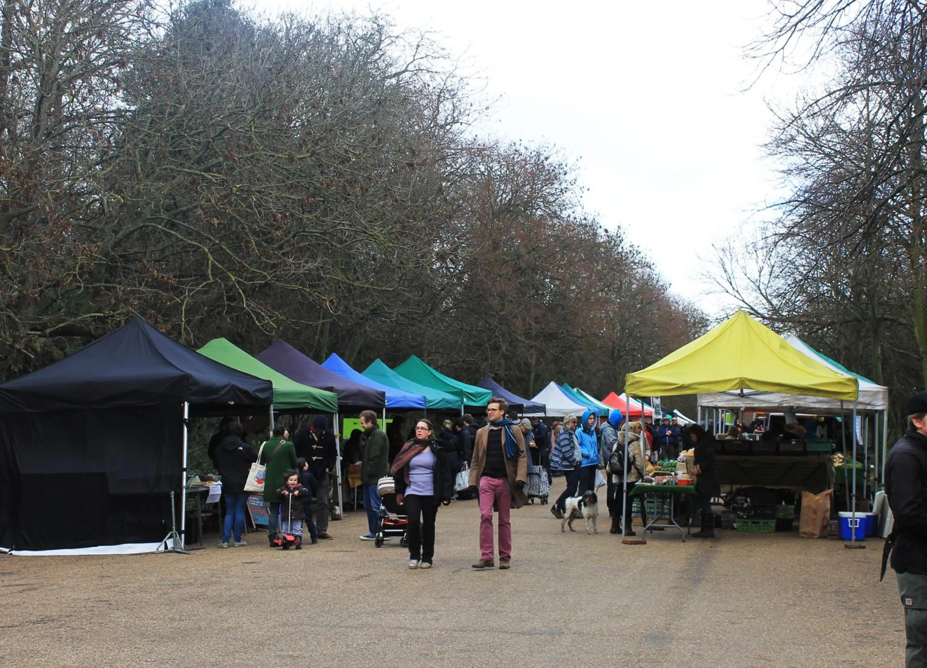 Area and facilities in Roseview Alexandra Palace Hotel