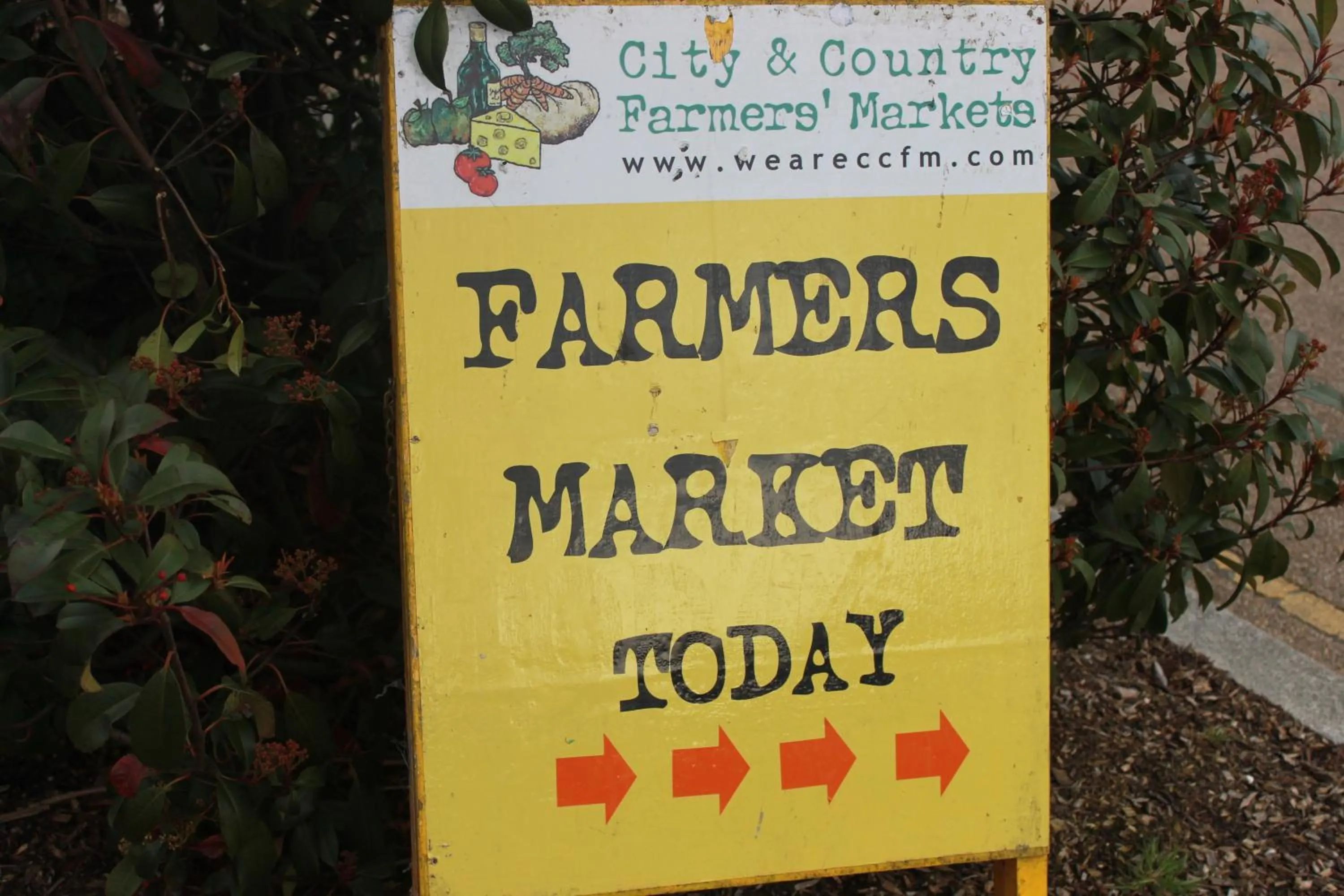 Area and facilities in Roseview Alexandra Palace Hotel