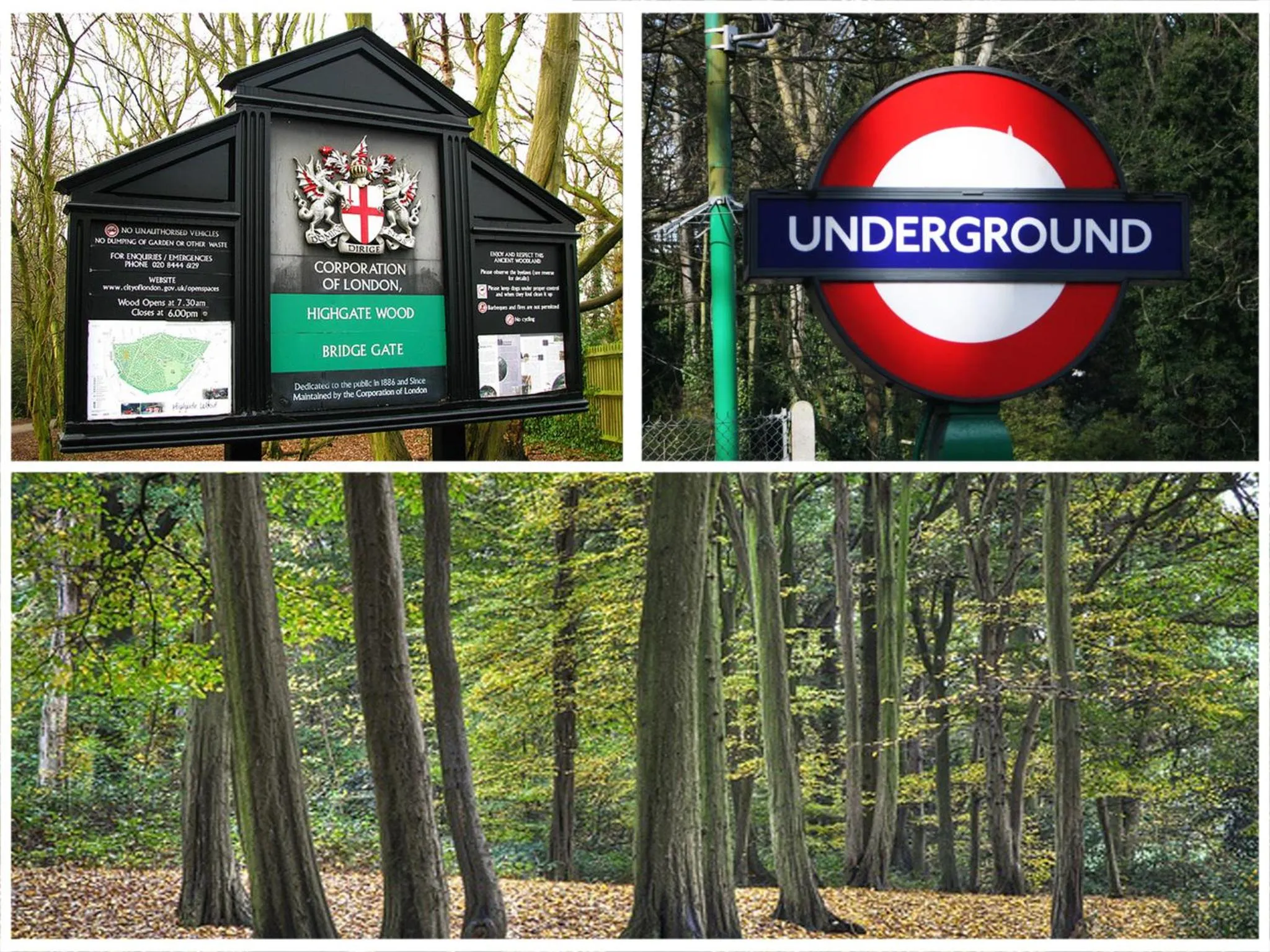 Area and facilities in Roseview Alexandra Palace Hotel