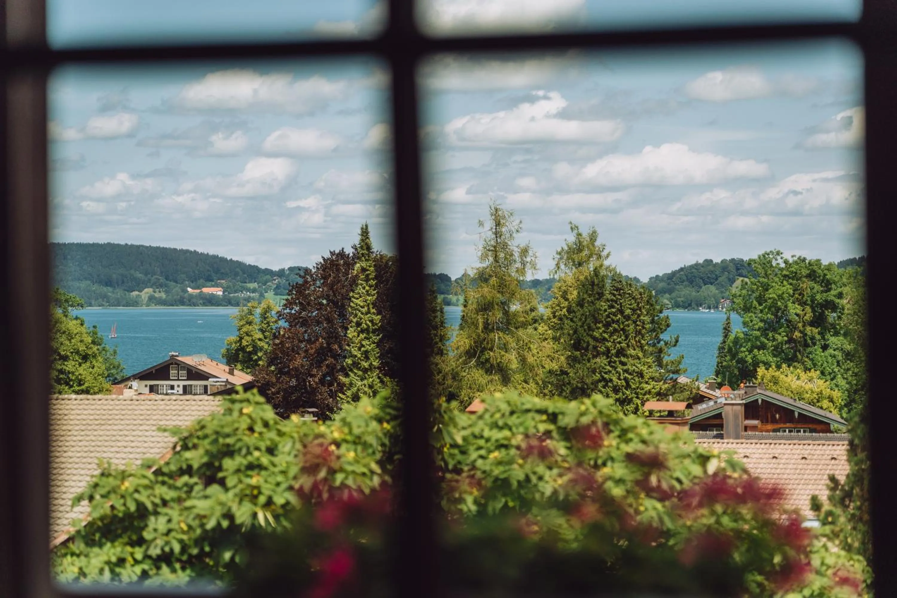 Natural landscape in Parkhotel Egerner Höfe