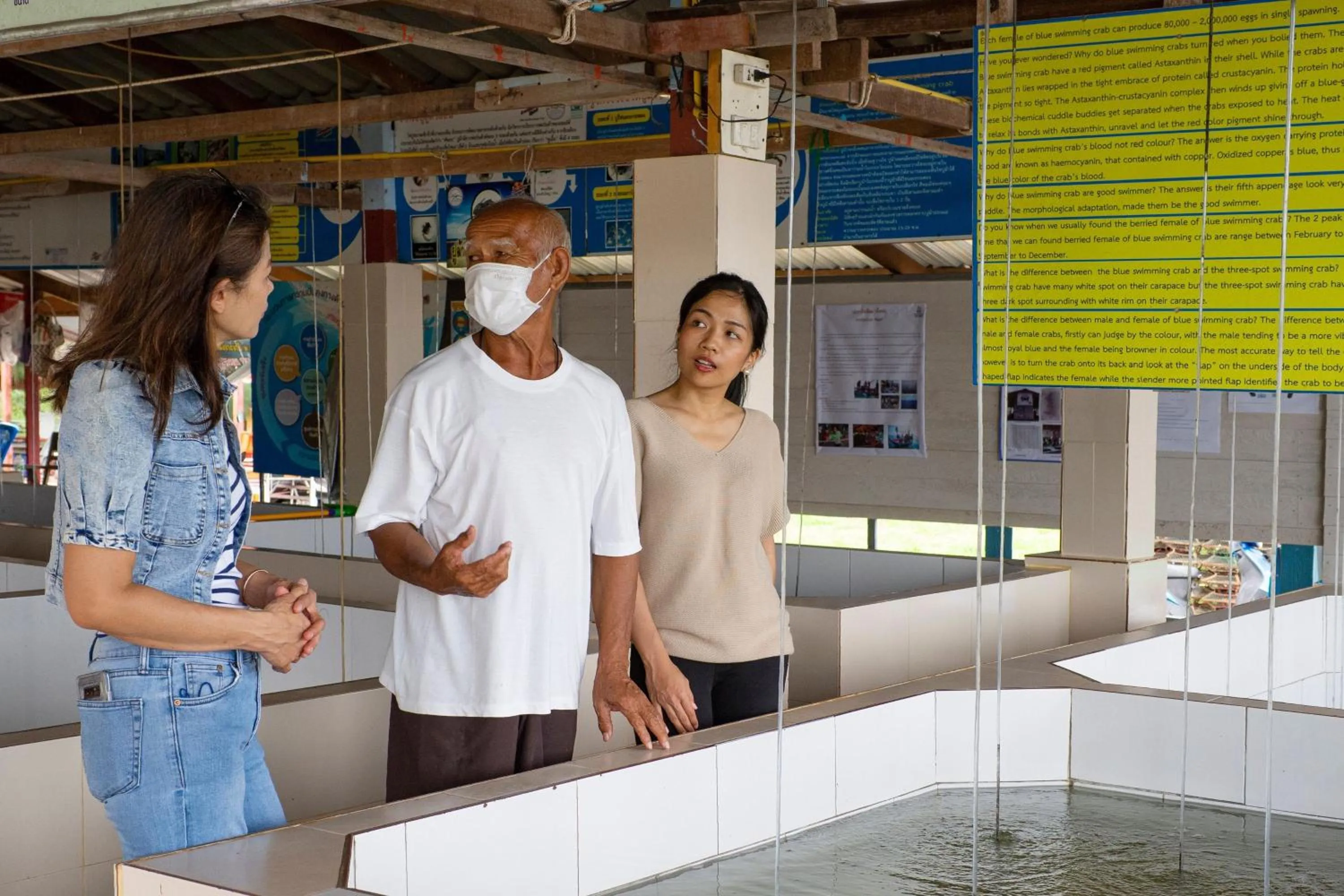 Other in Sheraton Hua Hin Pranburi Villas