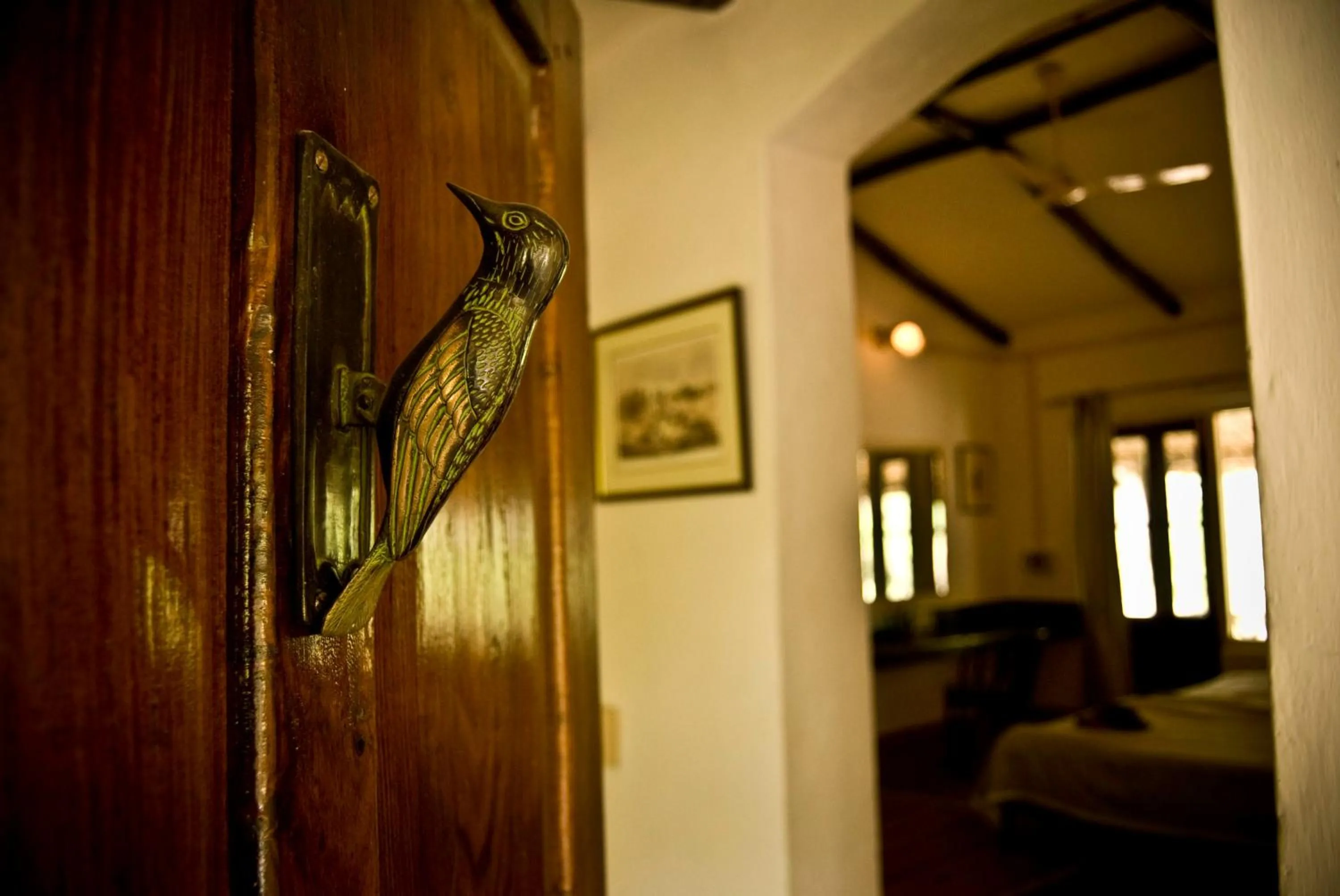 Jim's Jungle Retreat