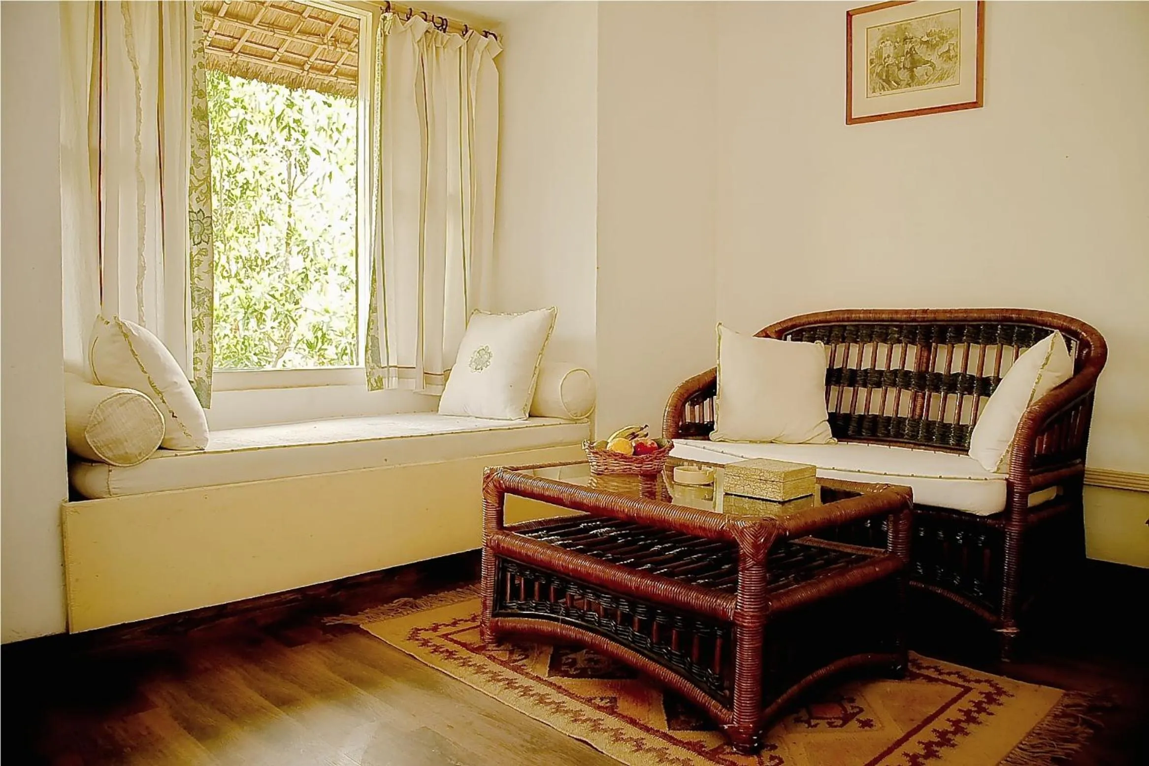 Day in Jim's Jungle Retreat