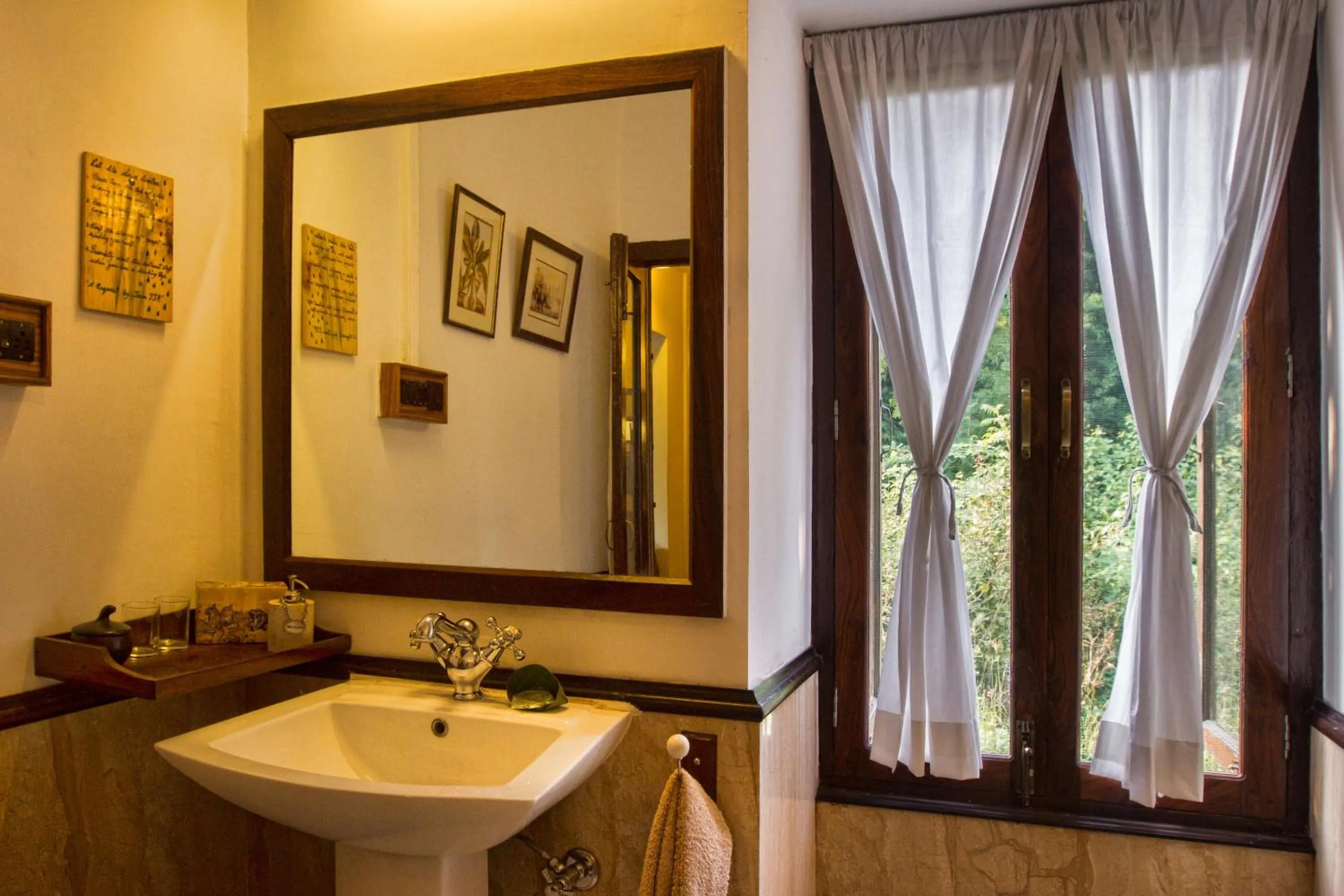 Jim's Jungle Retreat