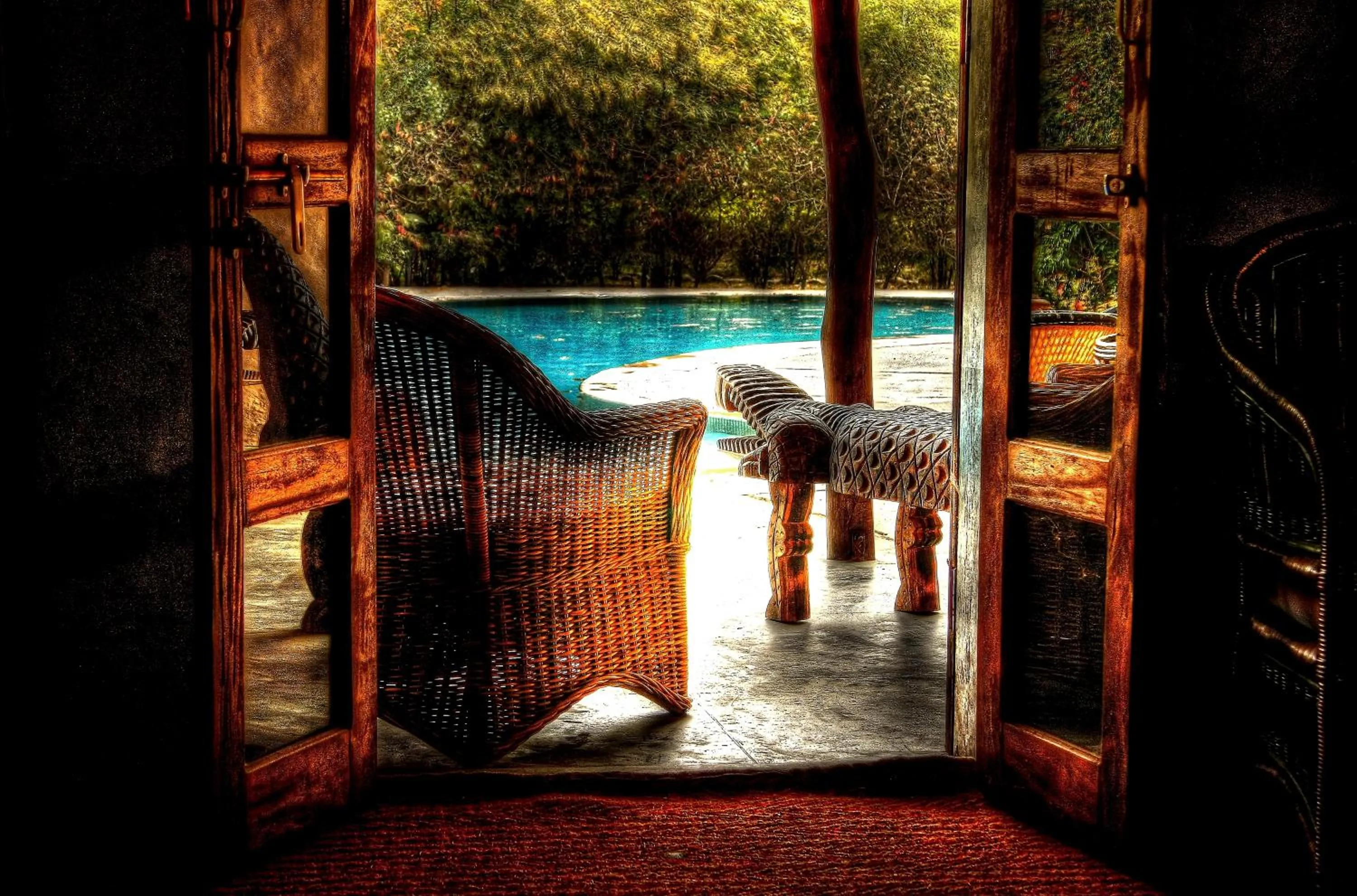 Patio in Jim's Jungle Retreat