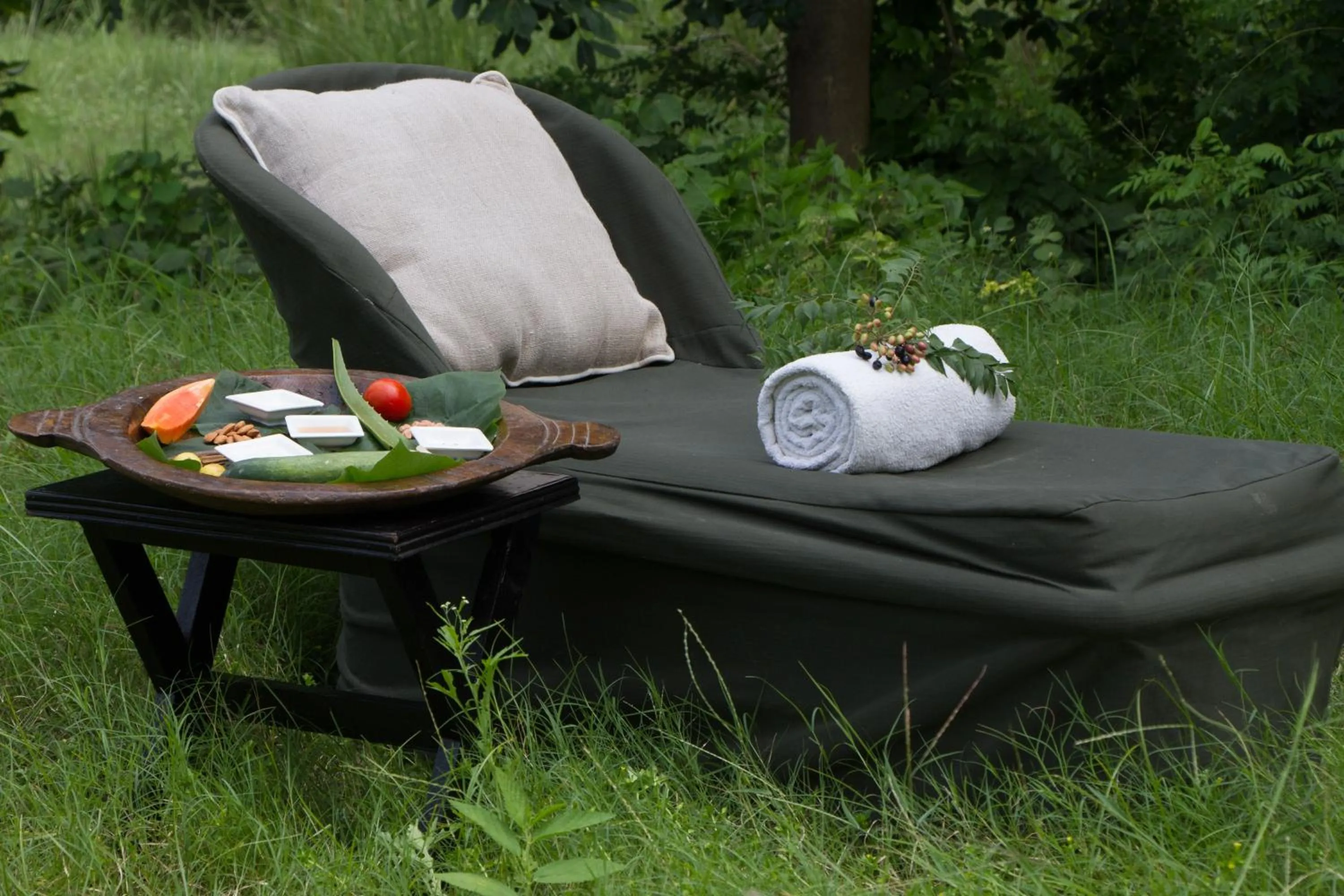 Jim's Jungle Retreat