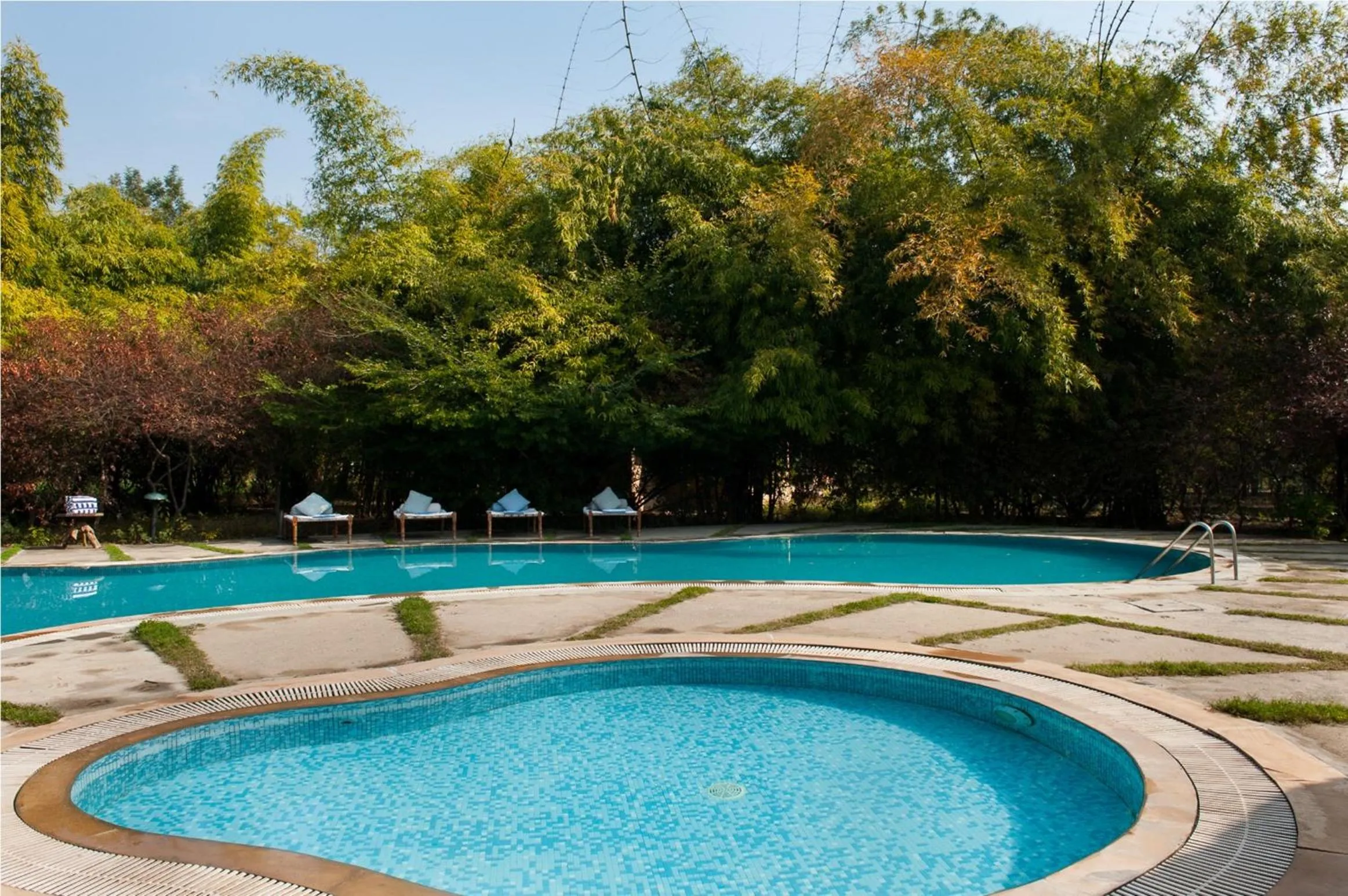 Swimming pool in Jim's Jungle Retreat