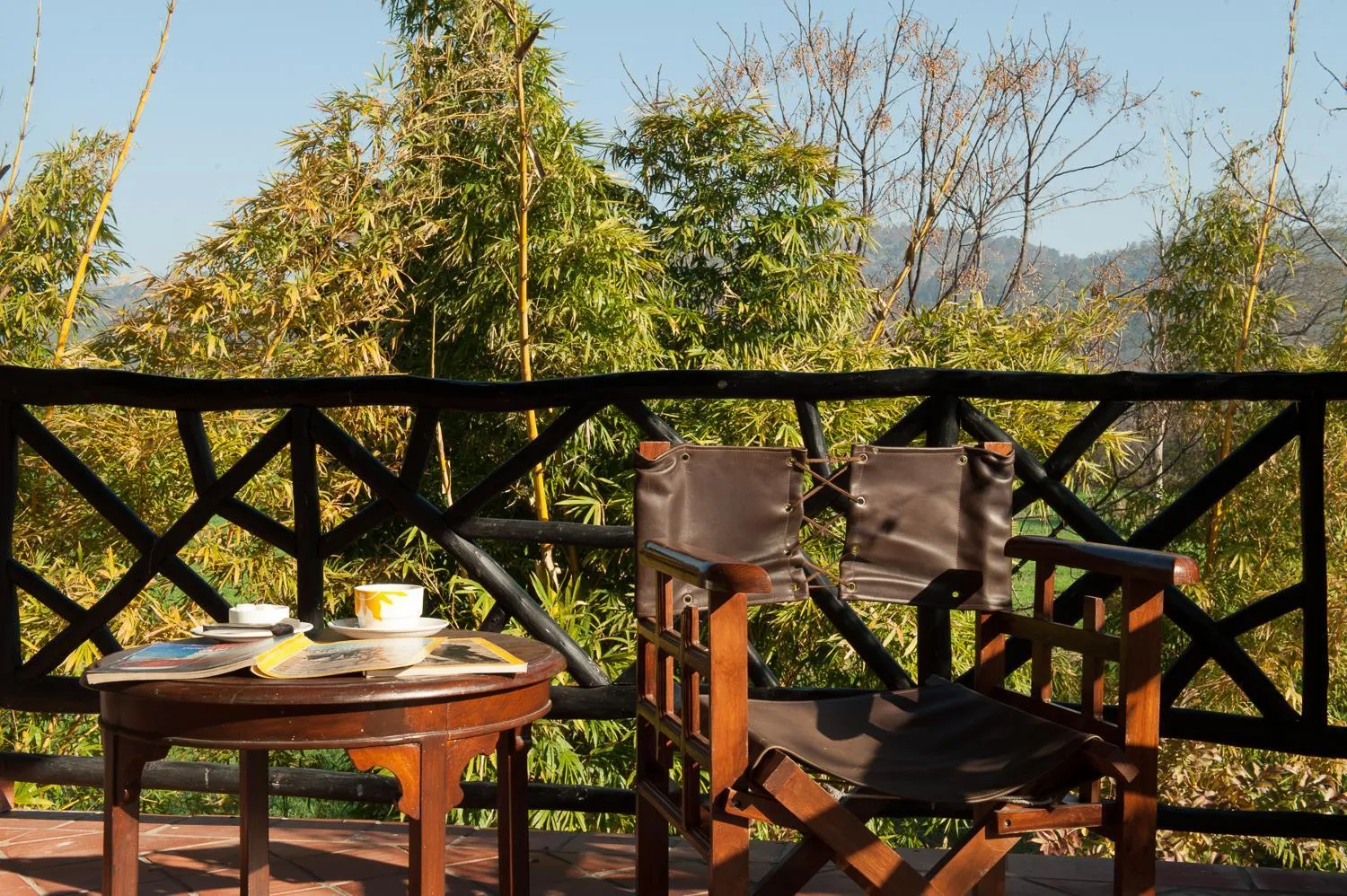 Jim's Jungle Retreat