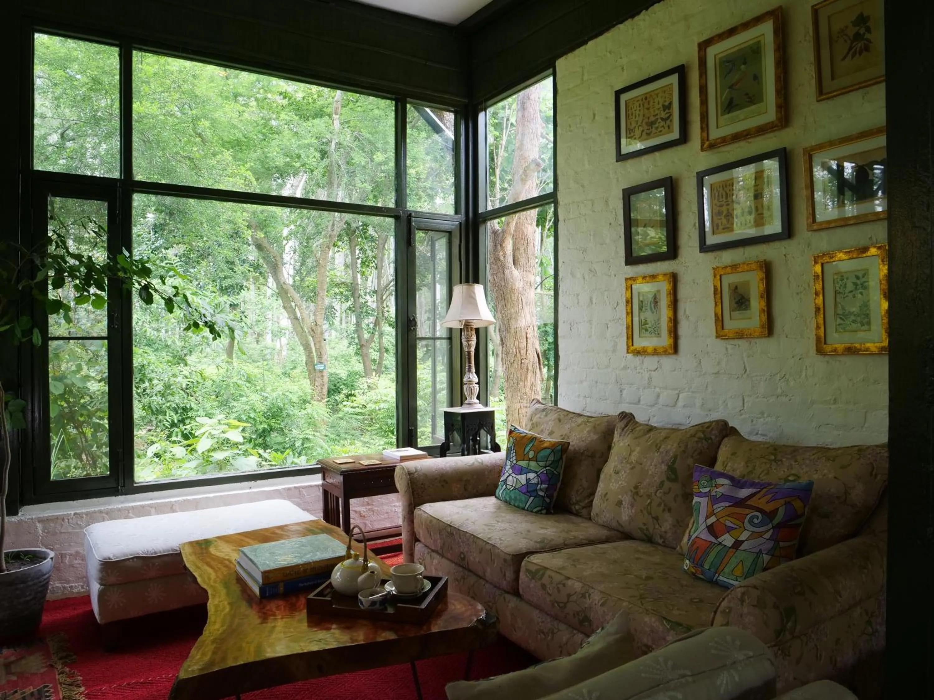 Jim's Jungle Retreat