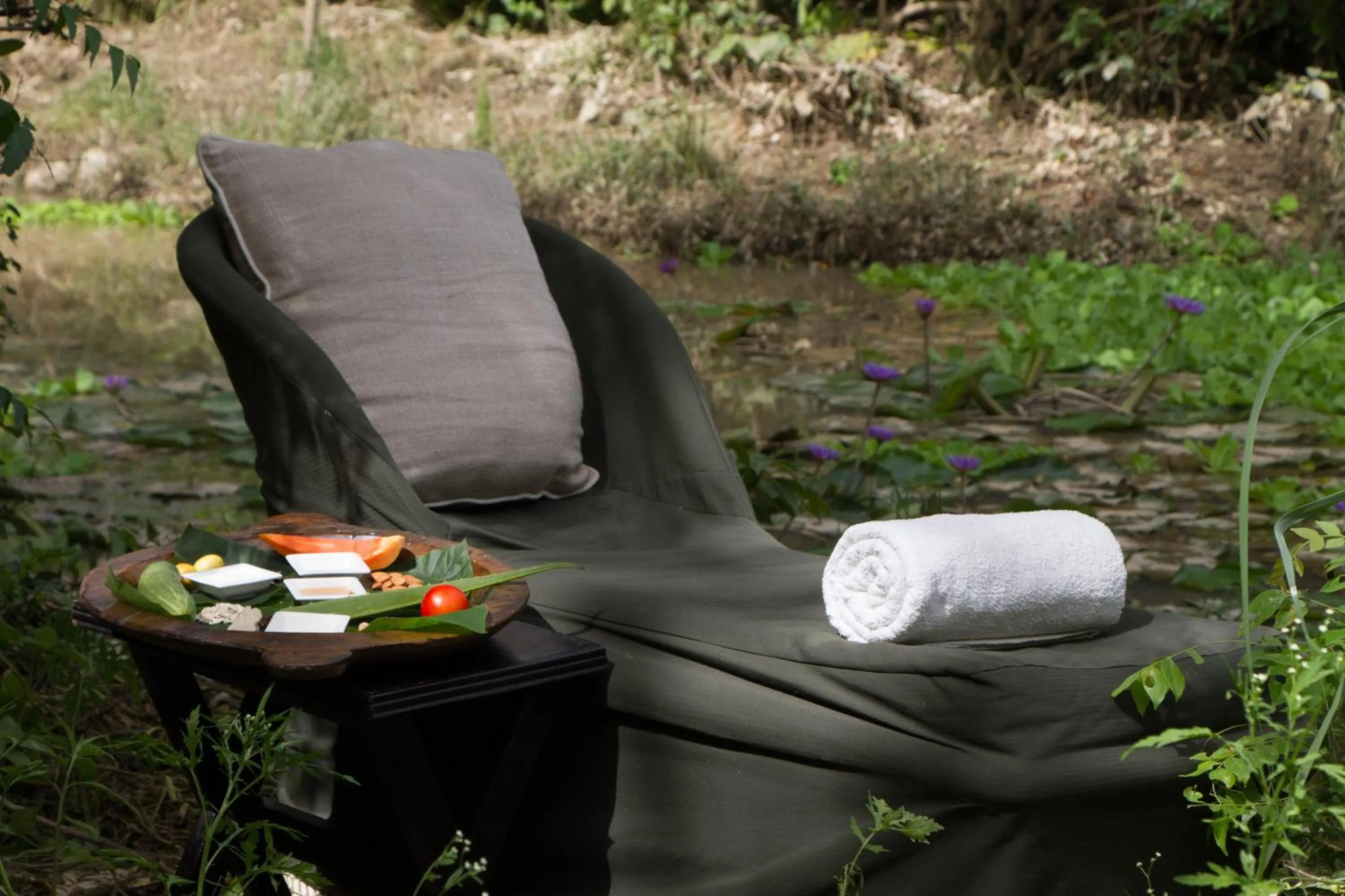 Jim's Jungle Retreat