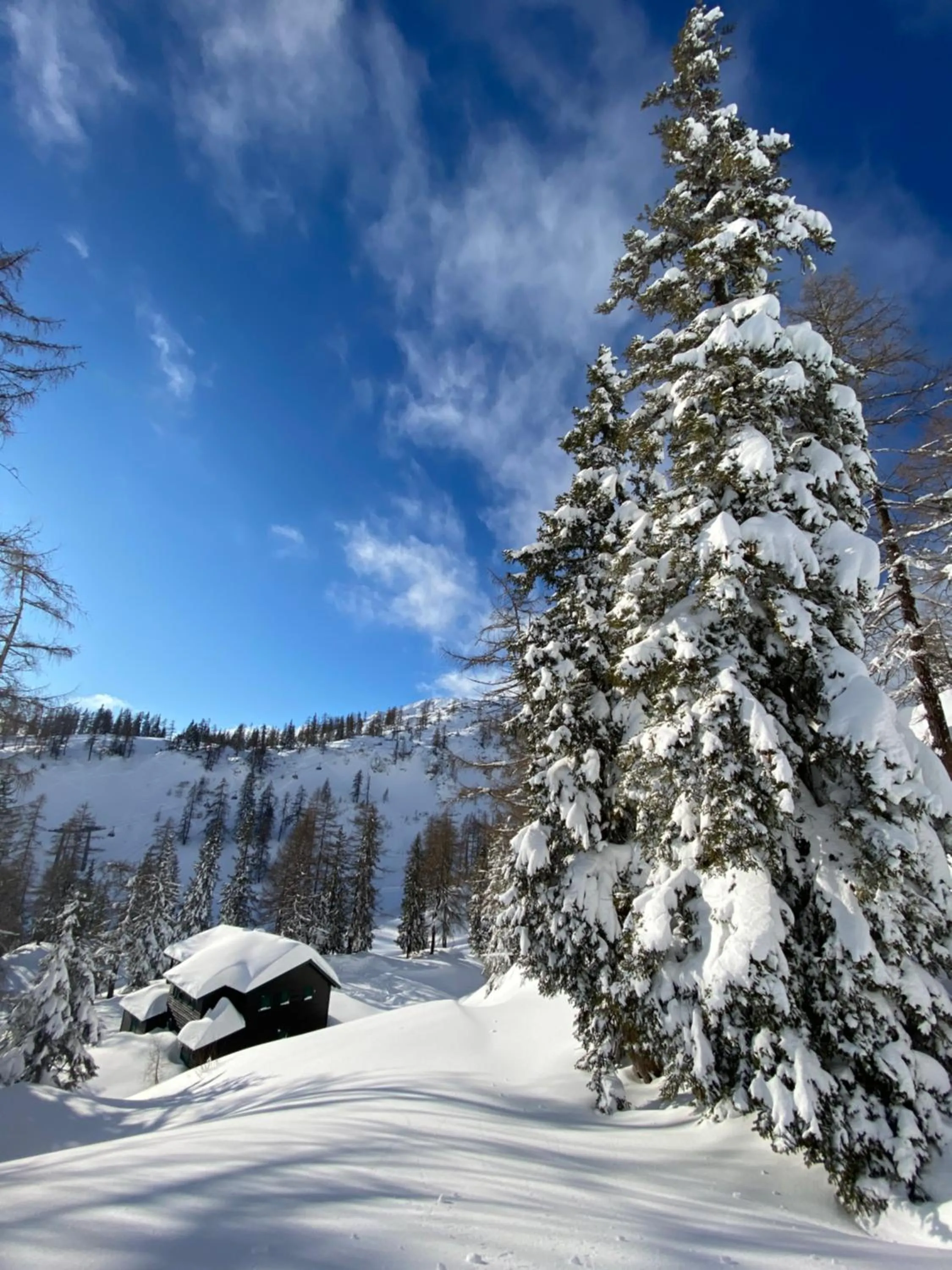 Natural landscape in Appartements-Restaurant Schwaiger
