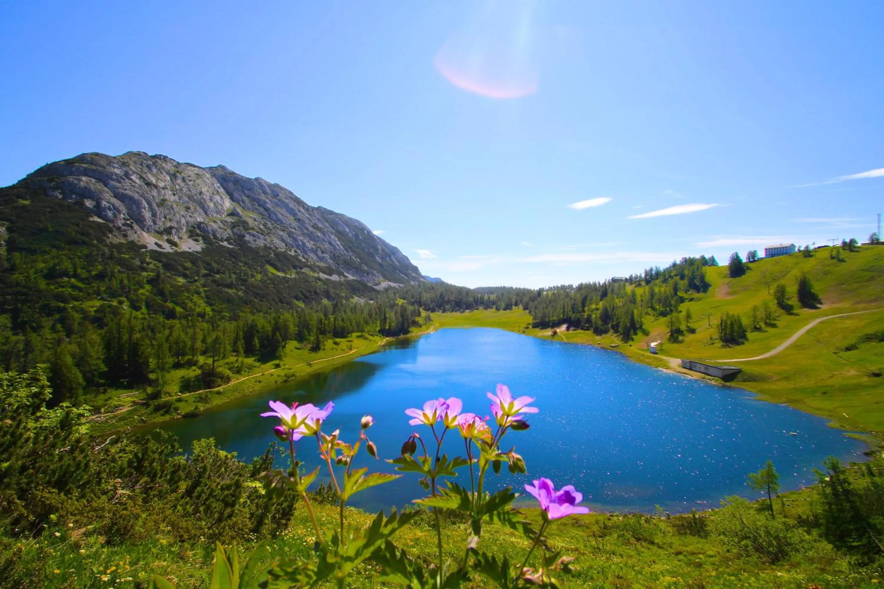 Natural landscape in Appartements-Restaurant Schwaiger