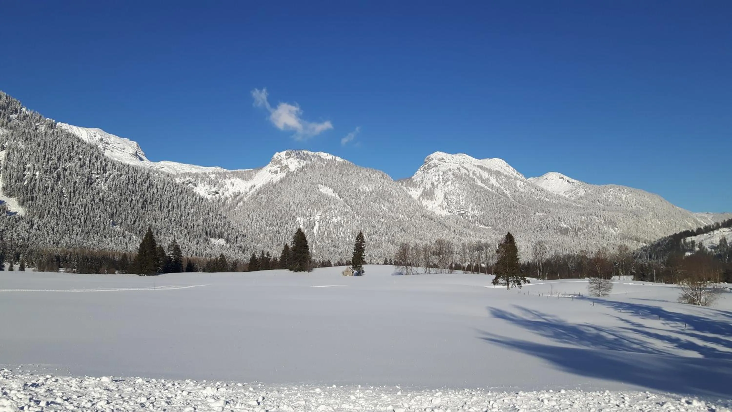 Natural landscape in Appartements-Restaurant Schwaiger