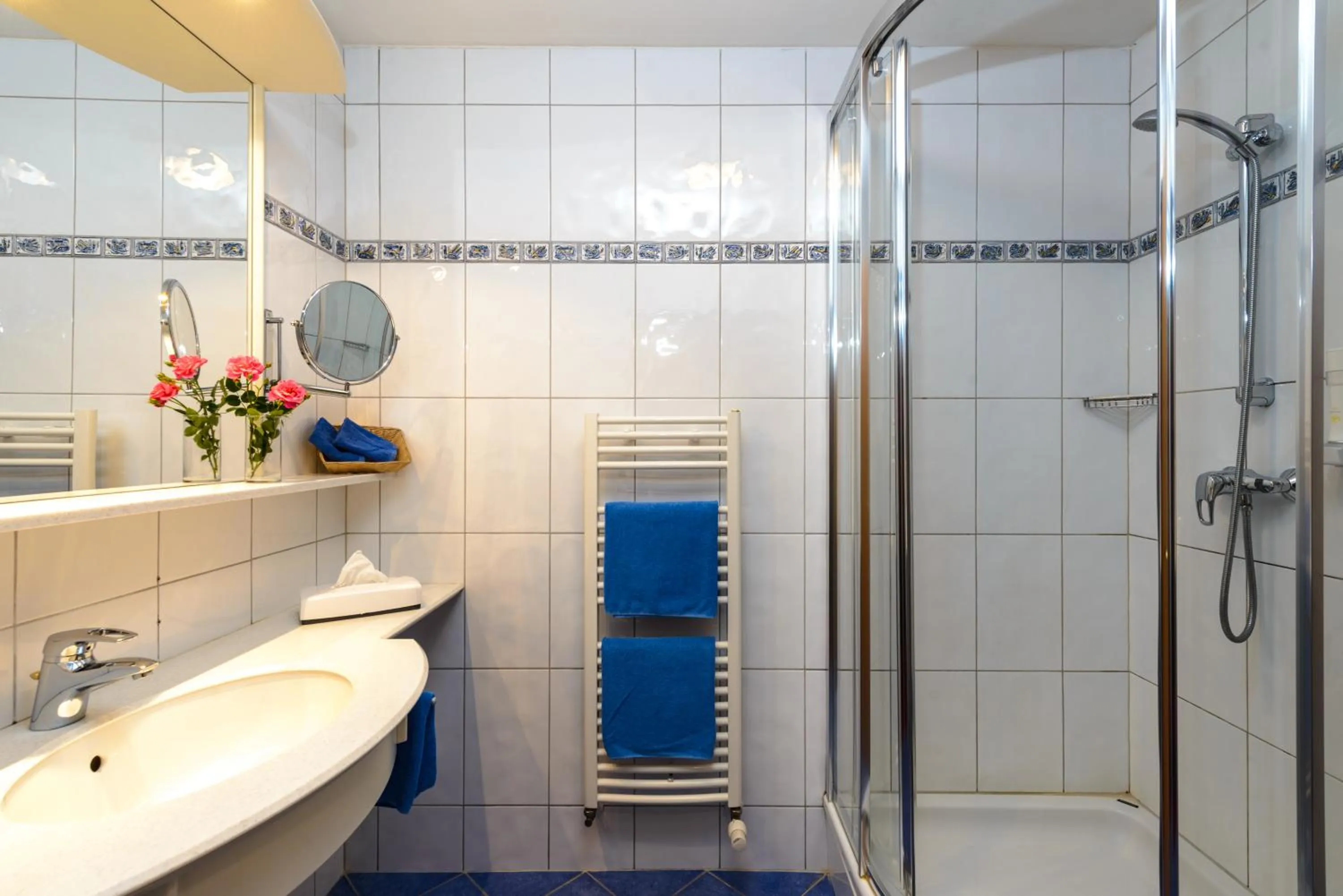 Shower in Hotel Himmelreich