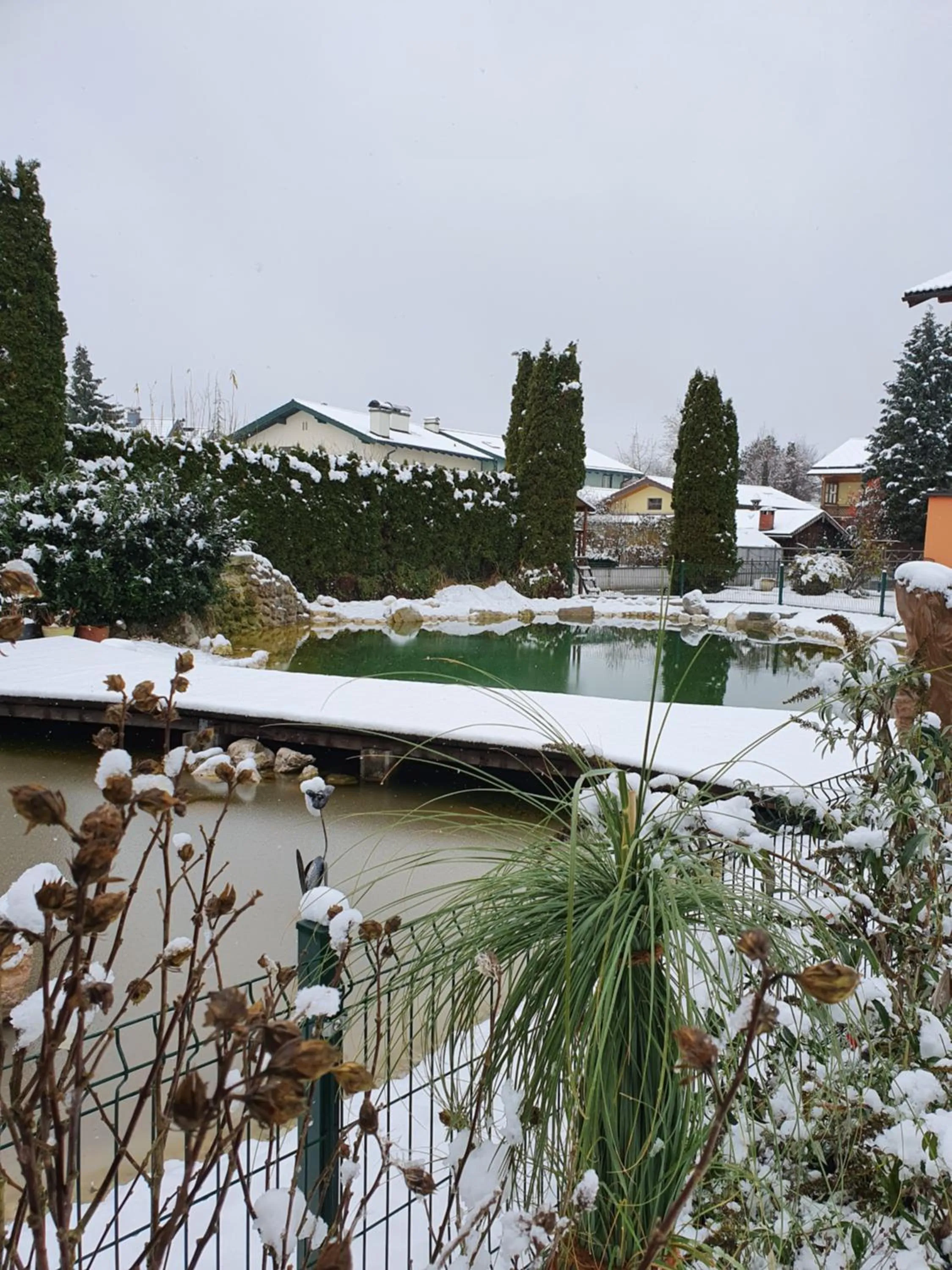 Garden in Hotel Himmelreich