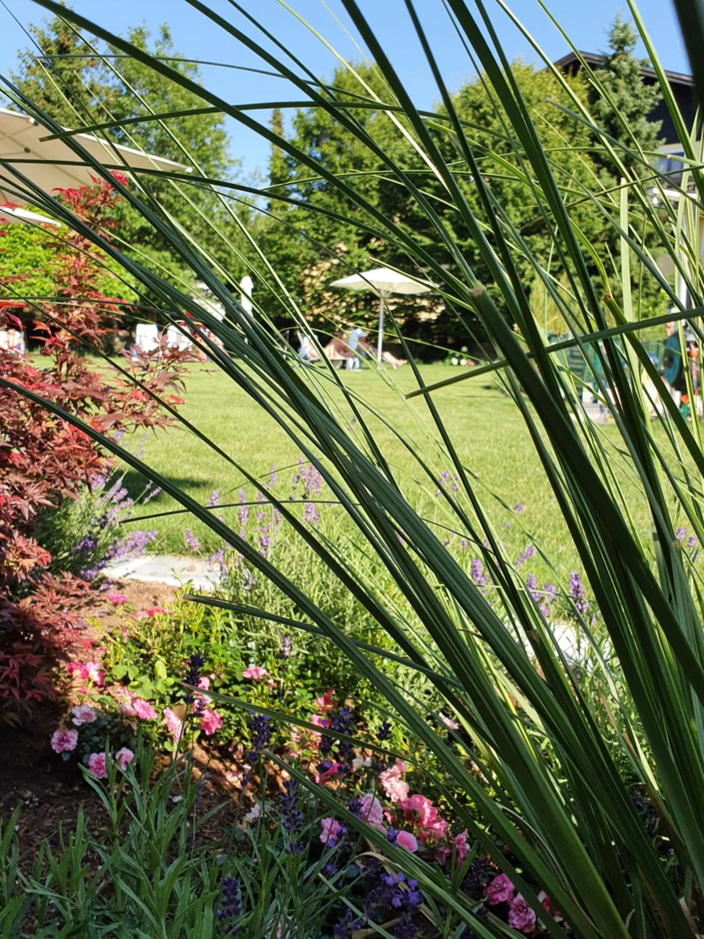 Garden in Hotel Himmelreich