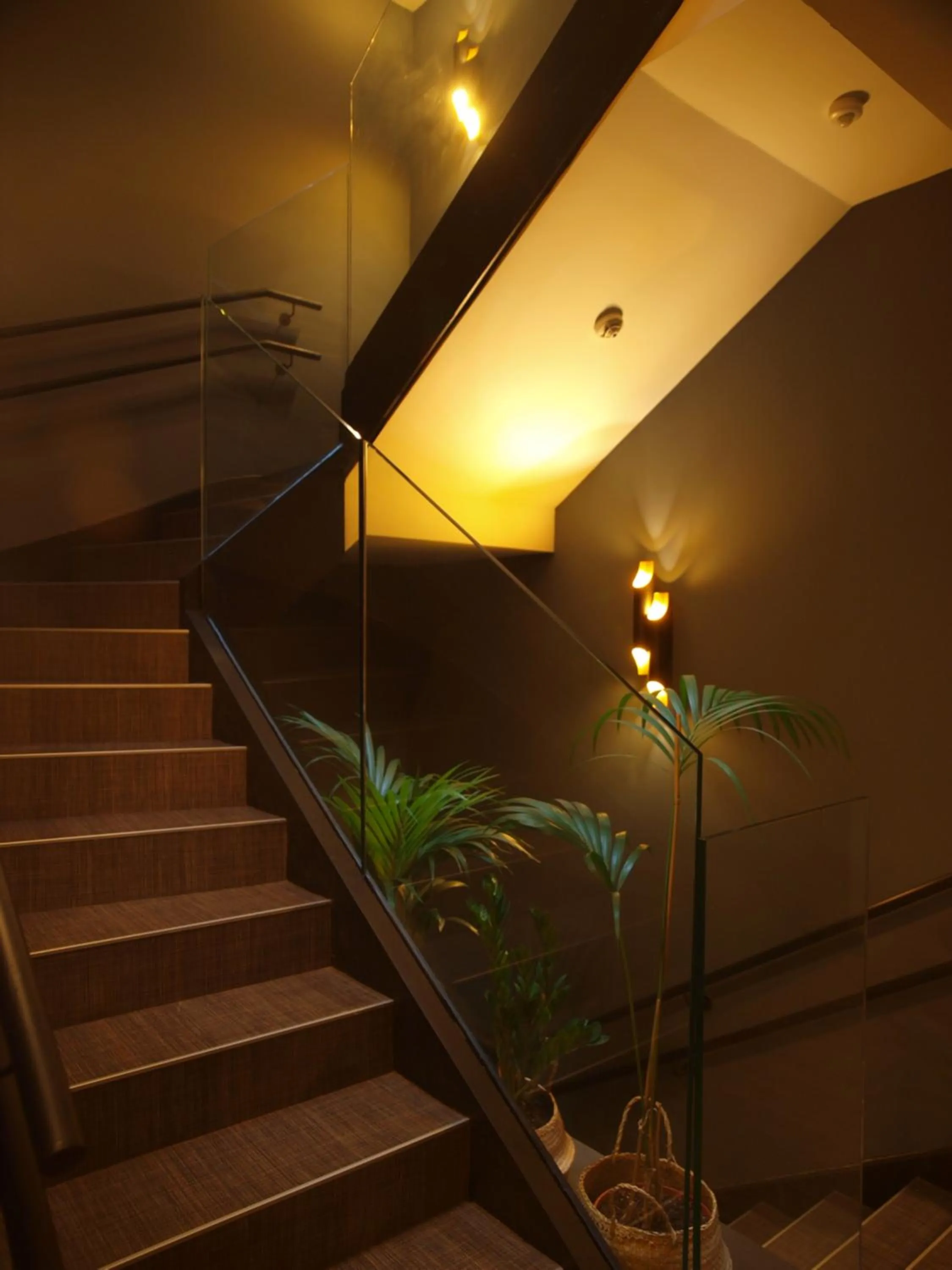 Area and facilities in M&UGA Hotela