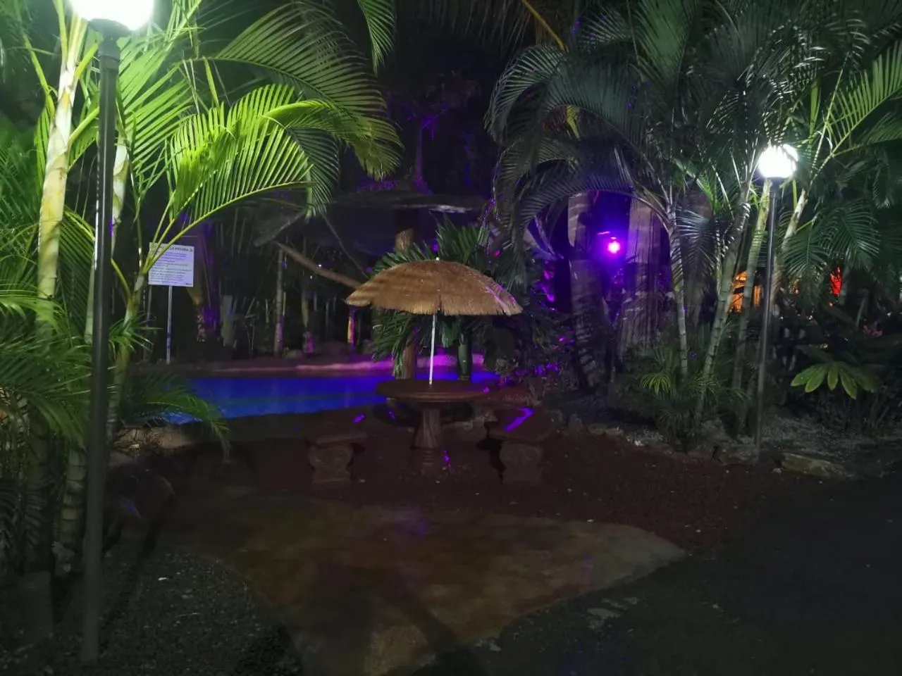 Hotel Palmera Real Hot Springs