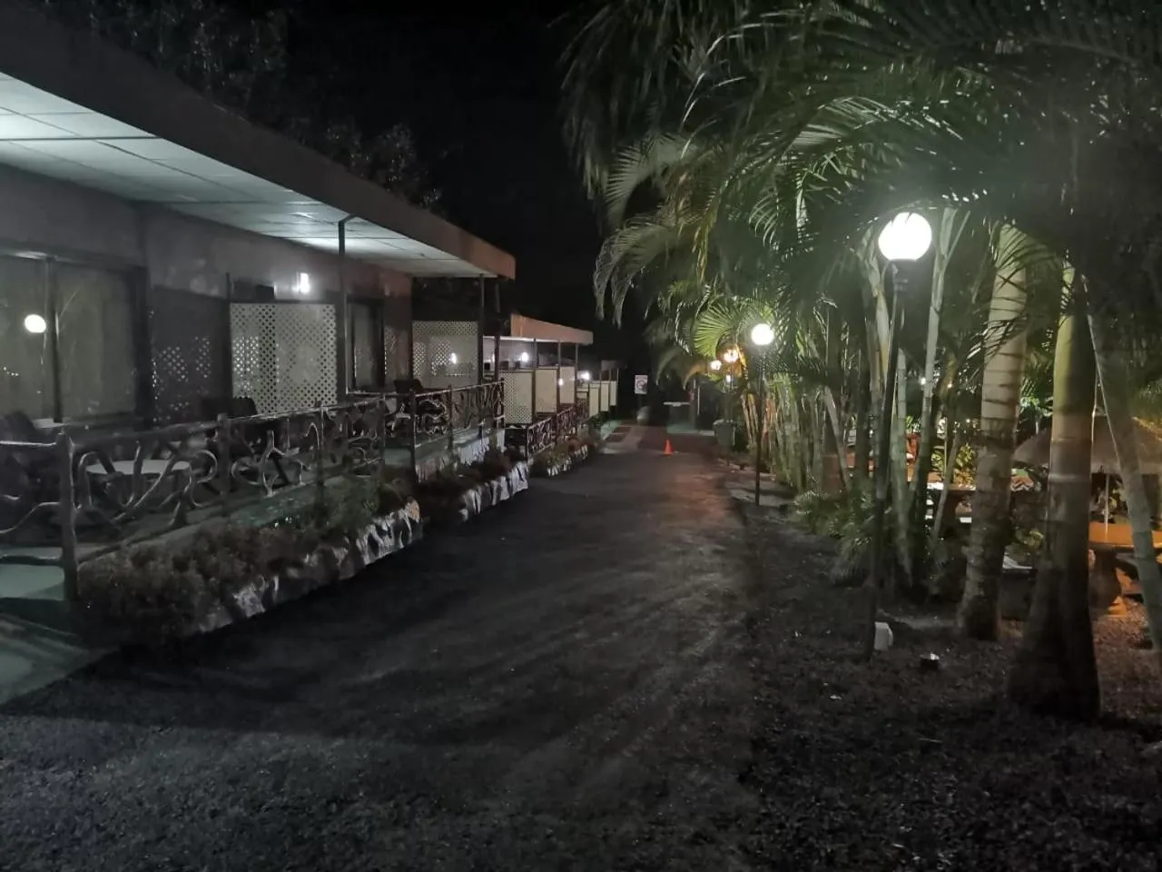 Hotel Palmera Real Hot Springs