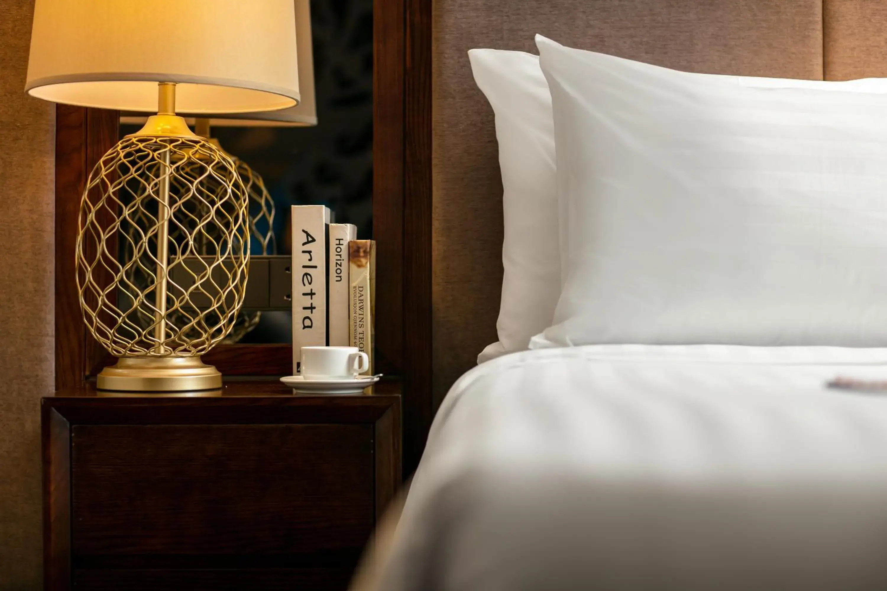 Deluxe Room (1 adult + 1 child) - single occupancy in Ping Diamond Hotel Hanoi Deluxe Room (1 adult + 1 child) - single occupancy in Ping Diamond Hotel Hanoi