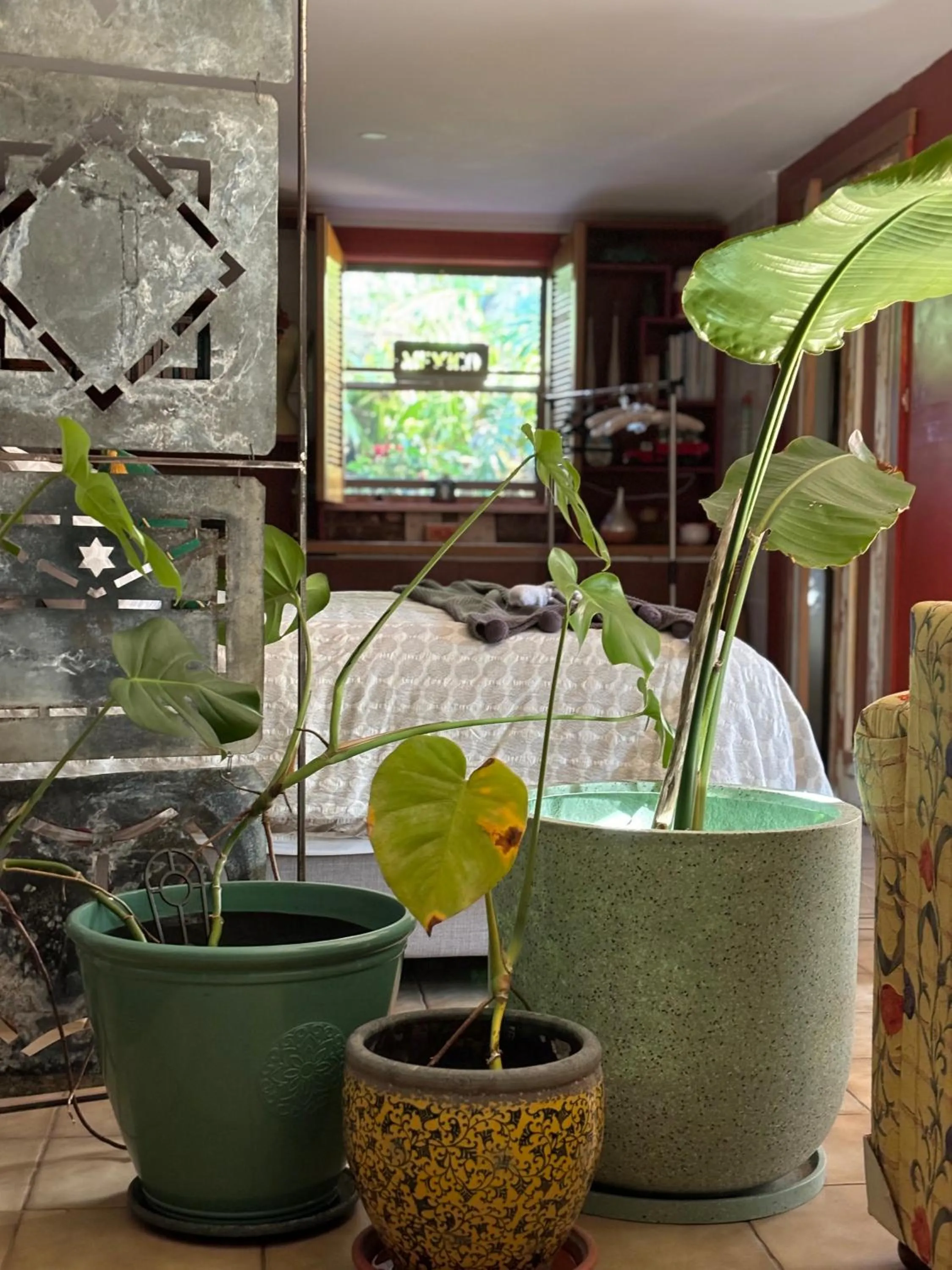 Garden view in The Studio