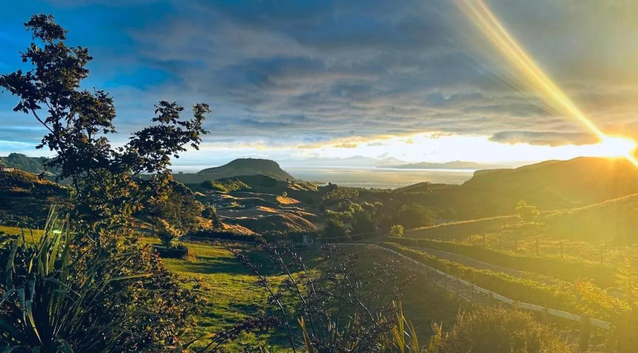 Sunset in Hilltop Whakaipo Estate