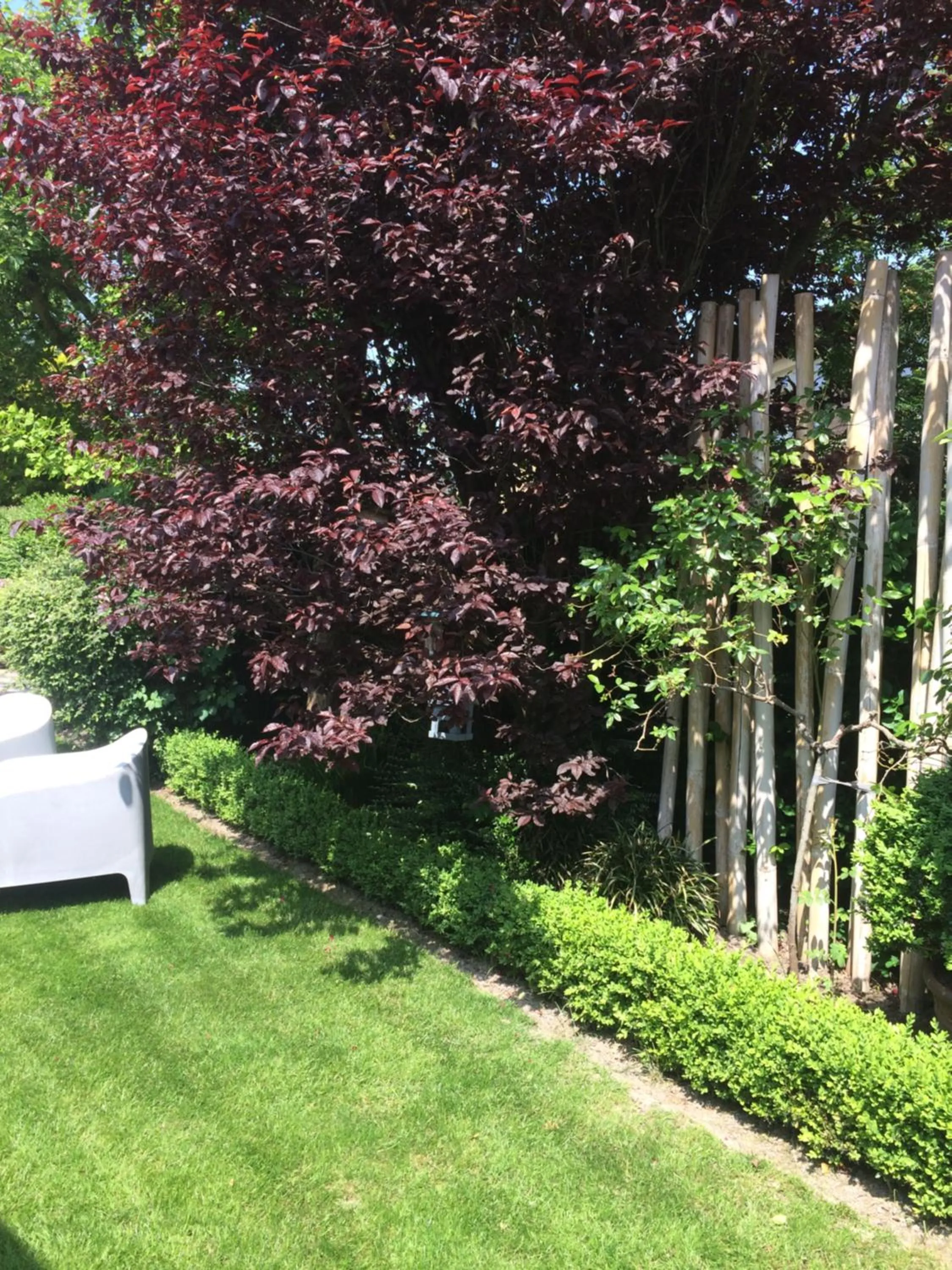 Garden view in B&B Huize Van Damme