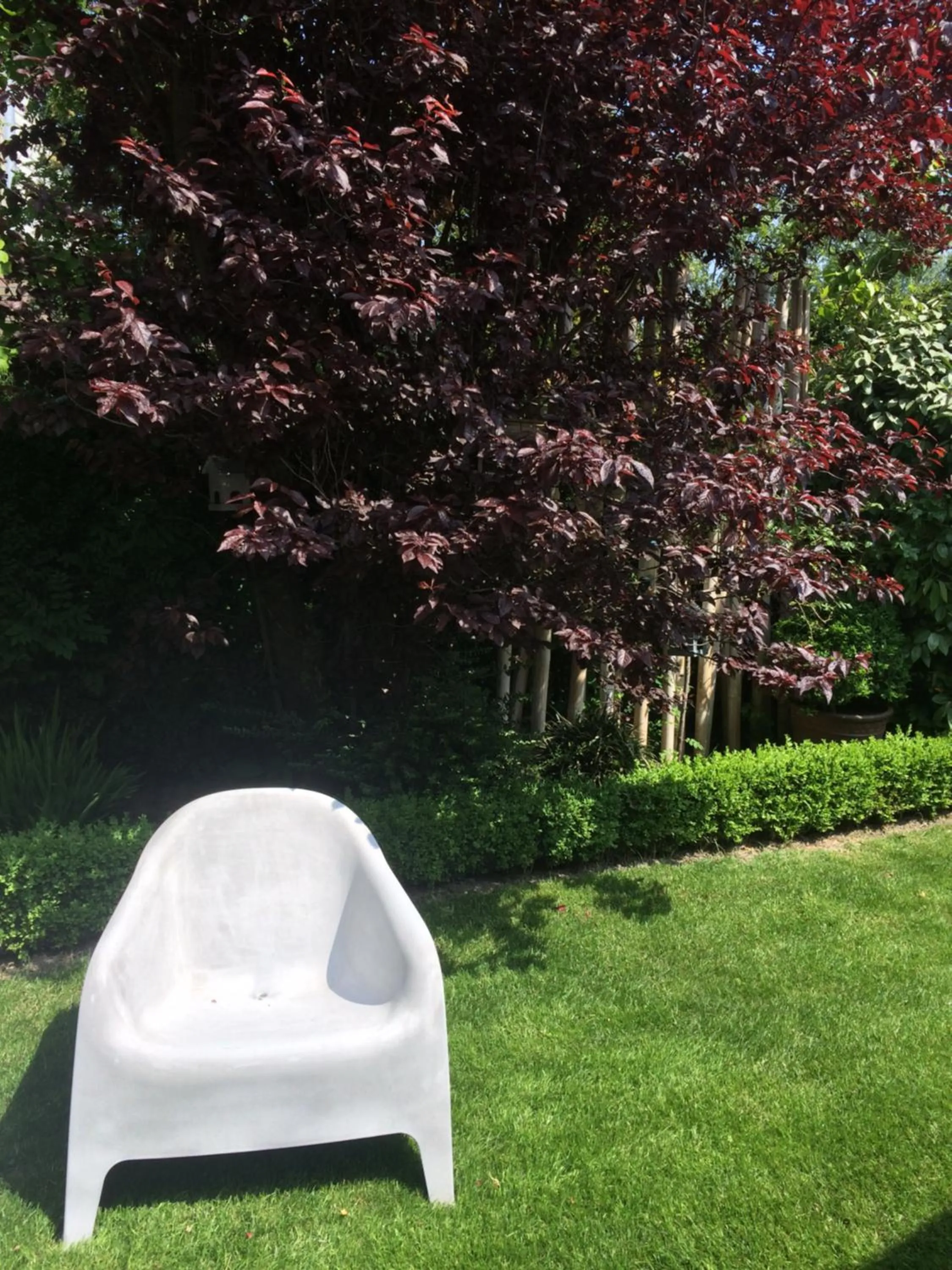 Garden in B&B Huize Van Damme