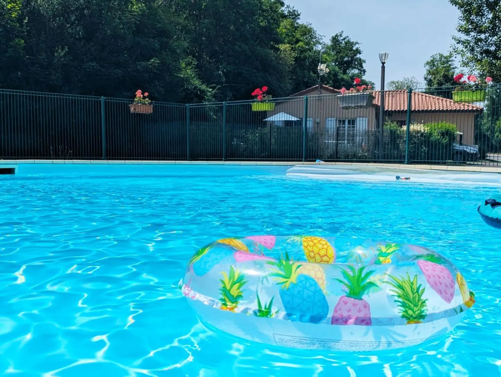 Swimming pool in Camping de la Bageasse