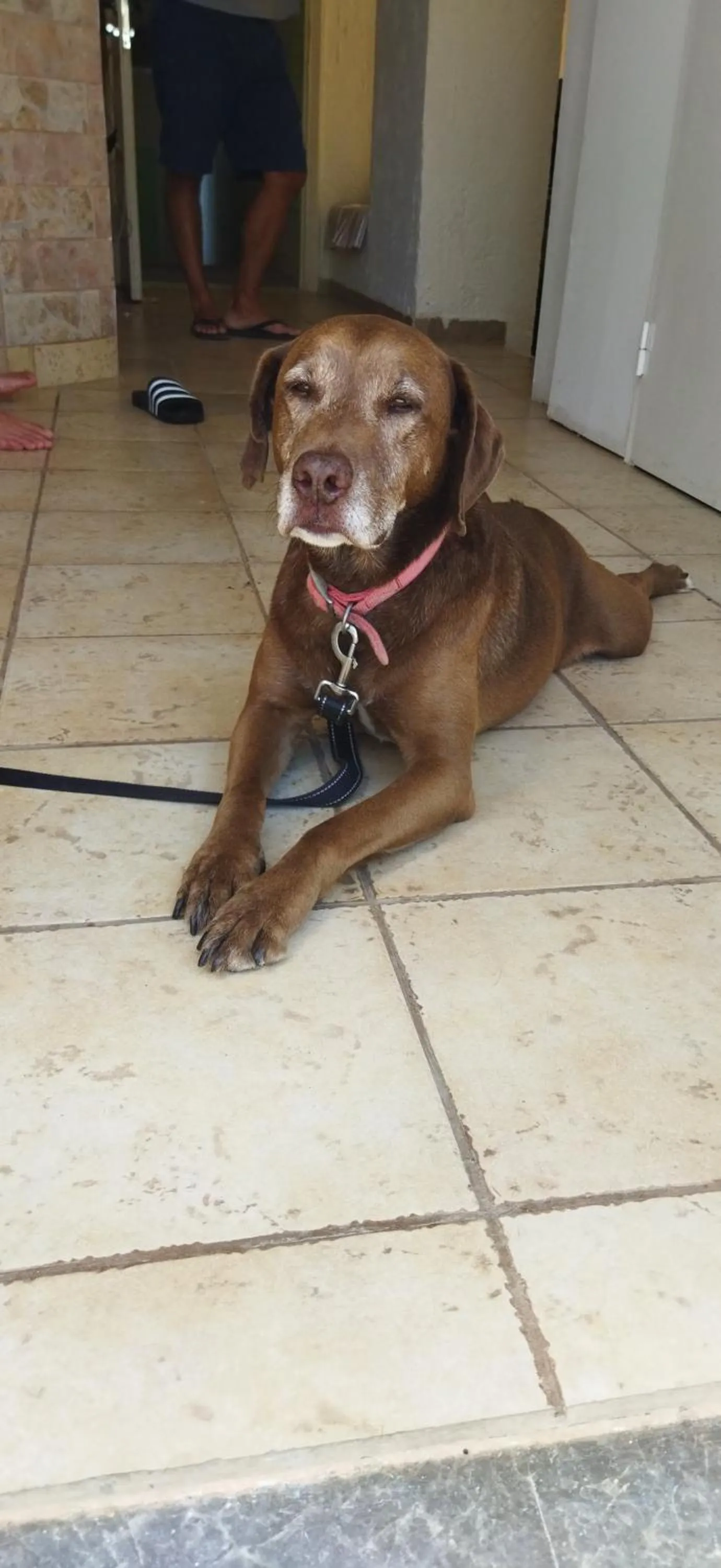 Cleo Rooms 250m from the beach